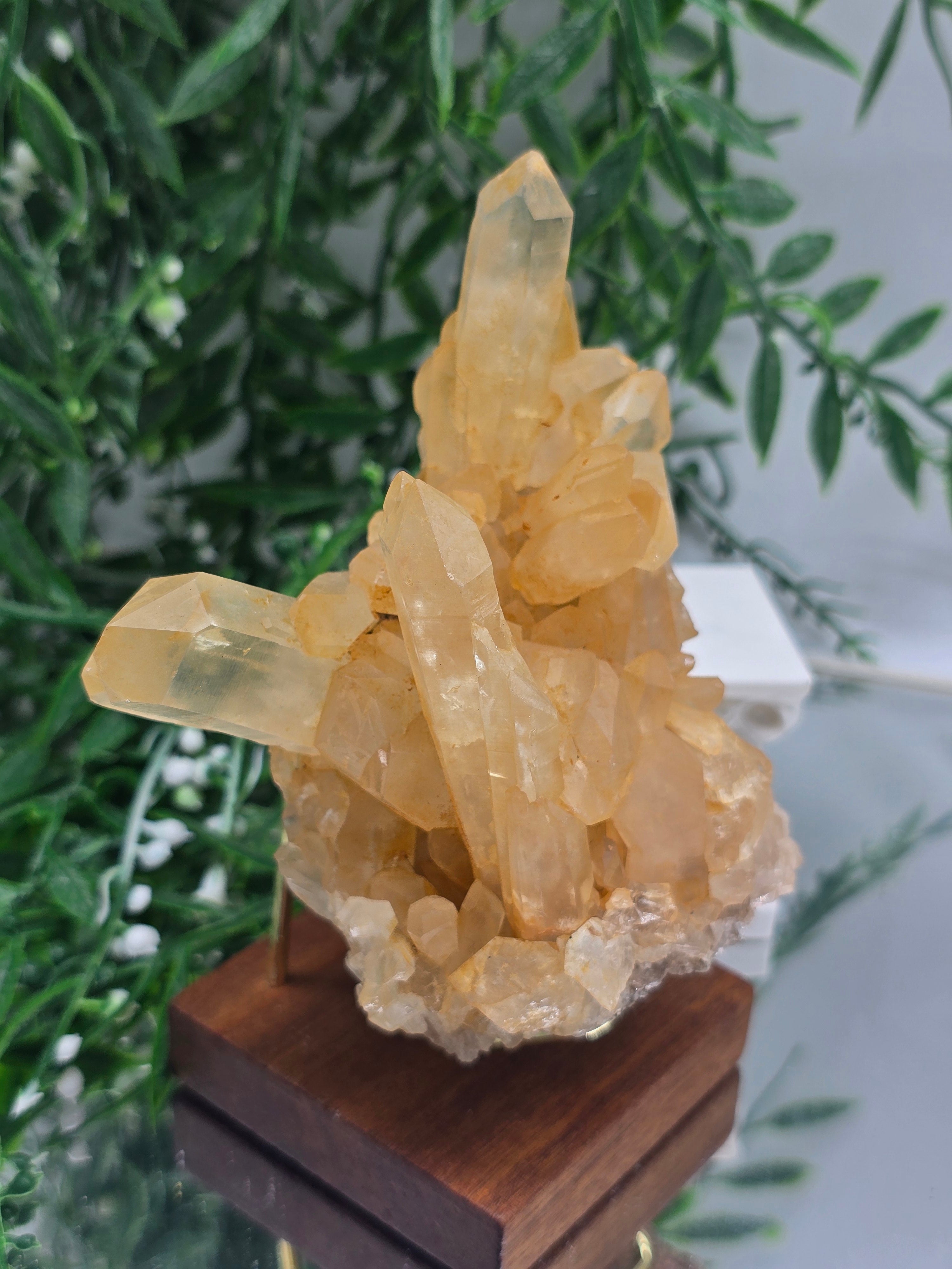 Natural Citrine Crystal Cluster — Stone of Abundance & Radiant Success | 402g Crystal Wellness