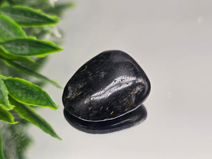 Genuine Nuumite Tumbled Stone (Stone of Ancient Protection & Personal Power) Crystal Wellness