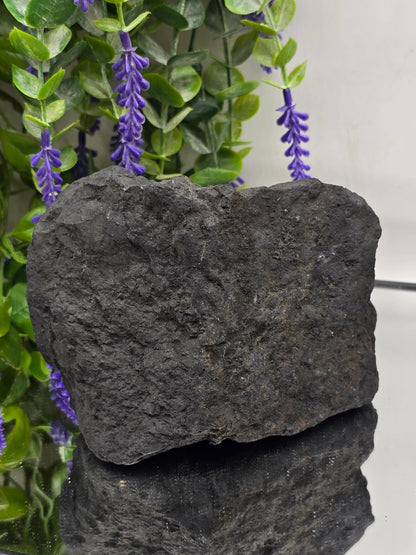 Raw Shungite — Stone of Grounding & Protection | 1.350kgs Crystal Wellness