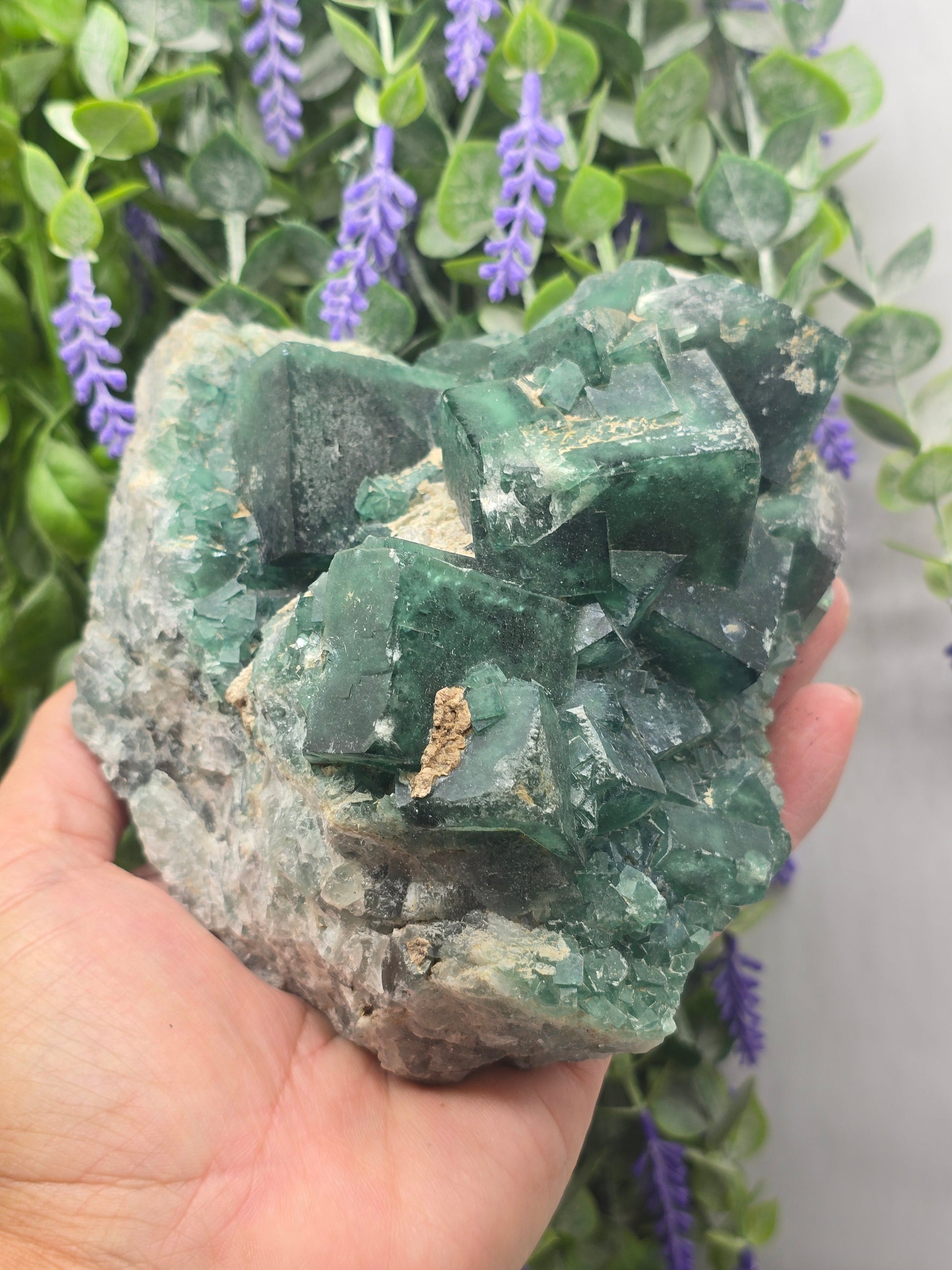 Natural Green Fluorite Cluster — Madagascar (Stone of Clarity & Renewal) Crystal Wellness