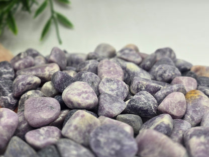 Lepidolite Tumbled Stone Crystal Wellness