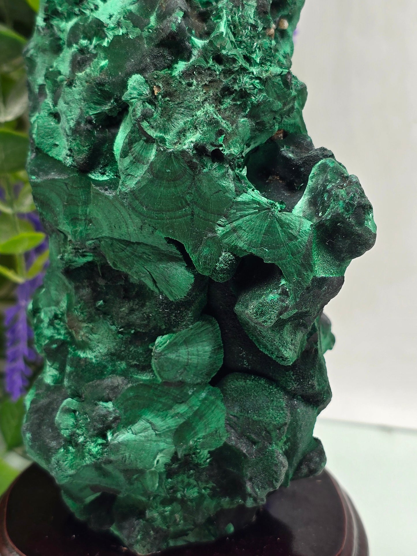 Malachite Polished Freeform Crystal Wellness