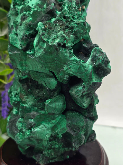 Malachite Polished Freeform Crystal Wellness