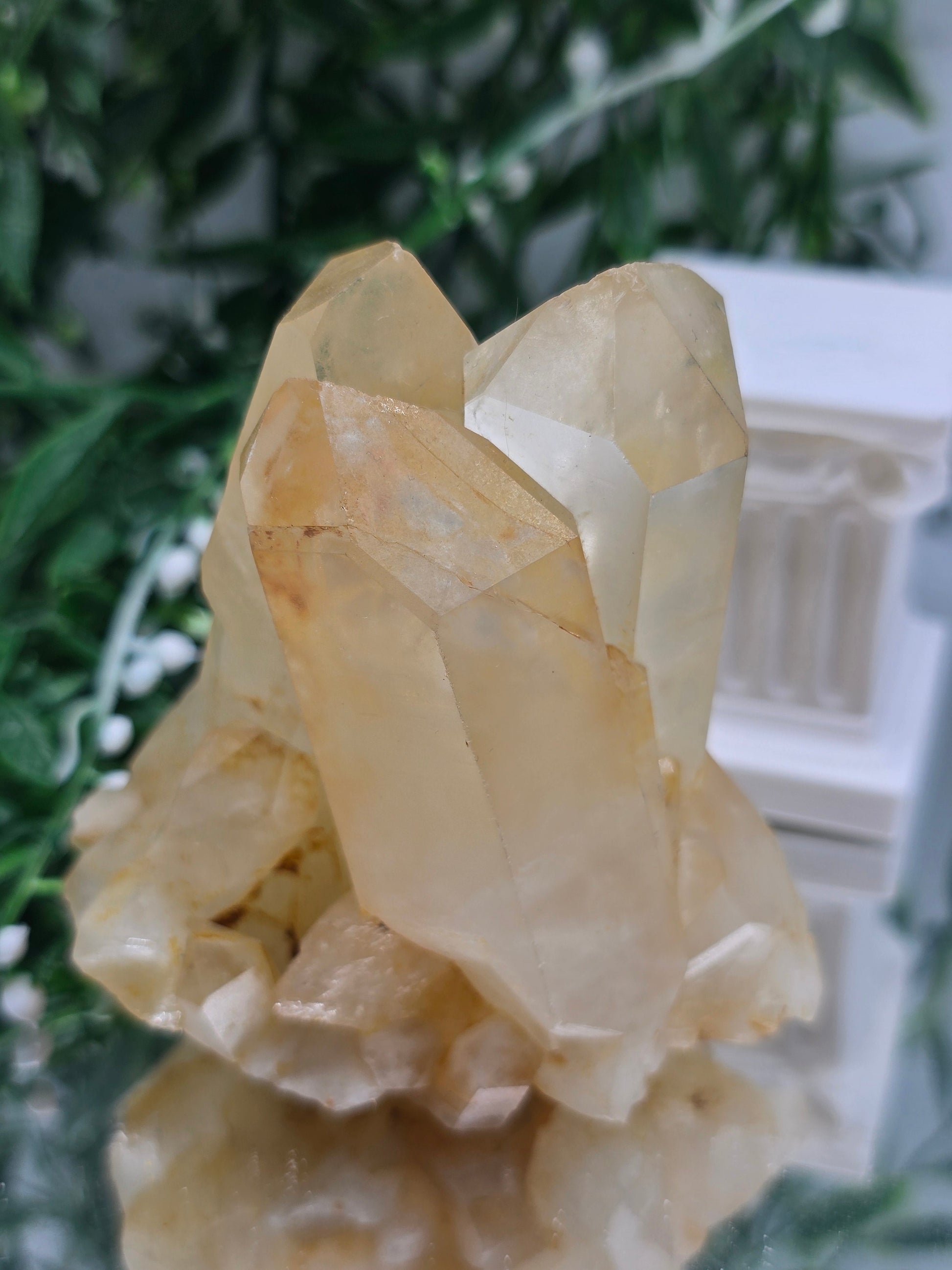 Genuine Natural Citrine Crystal Cluster — Stone of Abundance & Joy | 330g 8x7x5cm Crystal Wellness