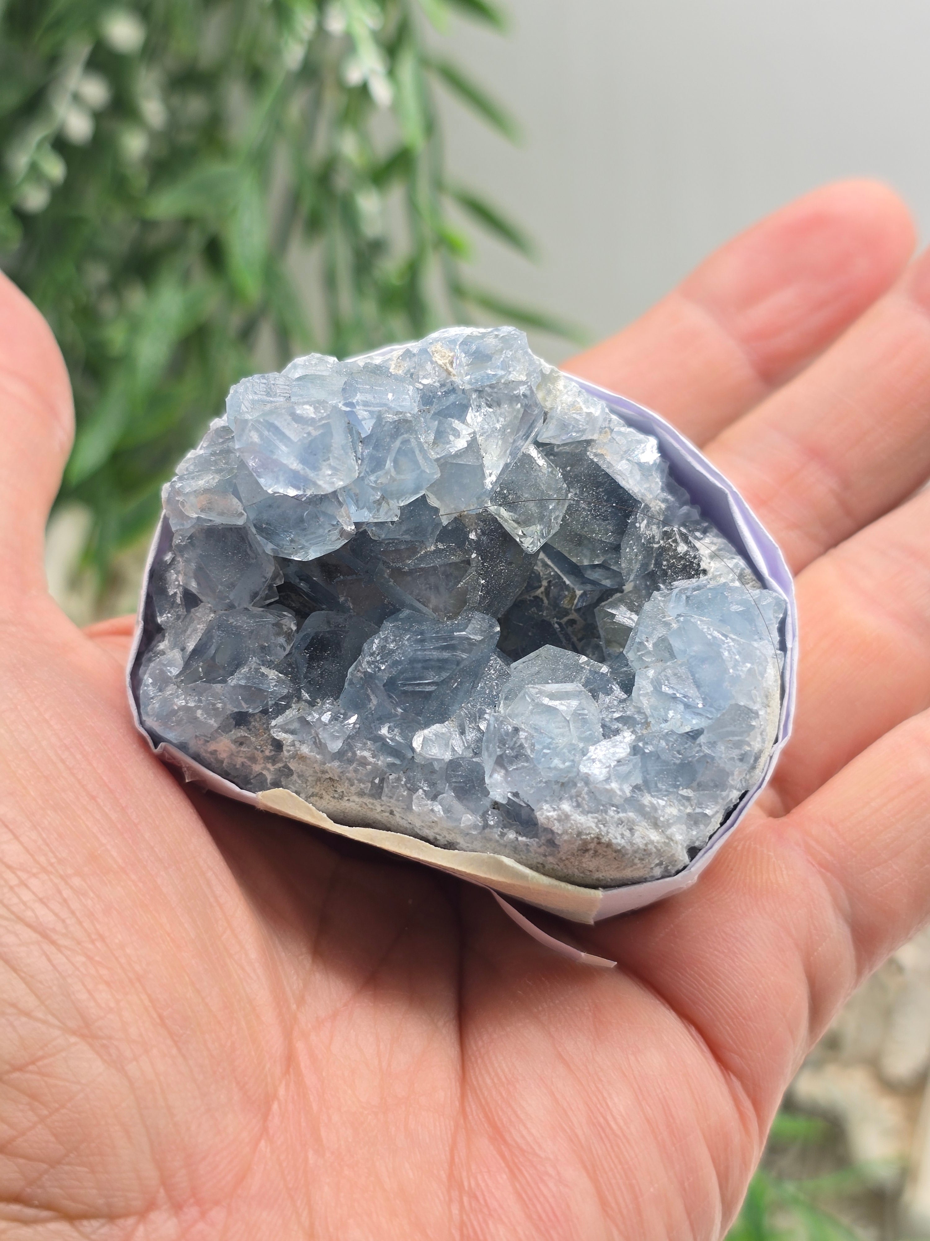 Natural Celestite Cluster – Madagascar | Angelic Communication, Peace & Spiritual Connection Crystal Wellness