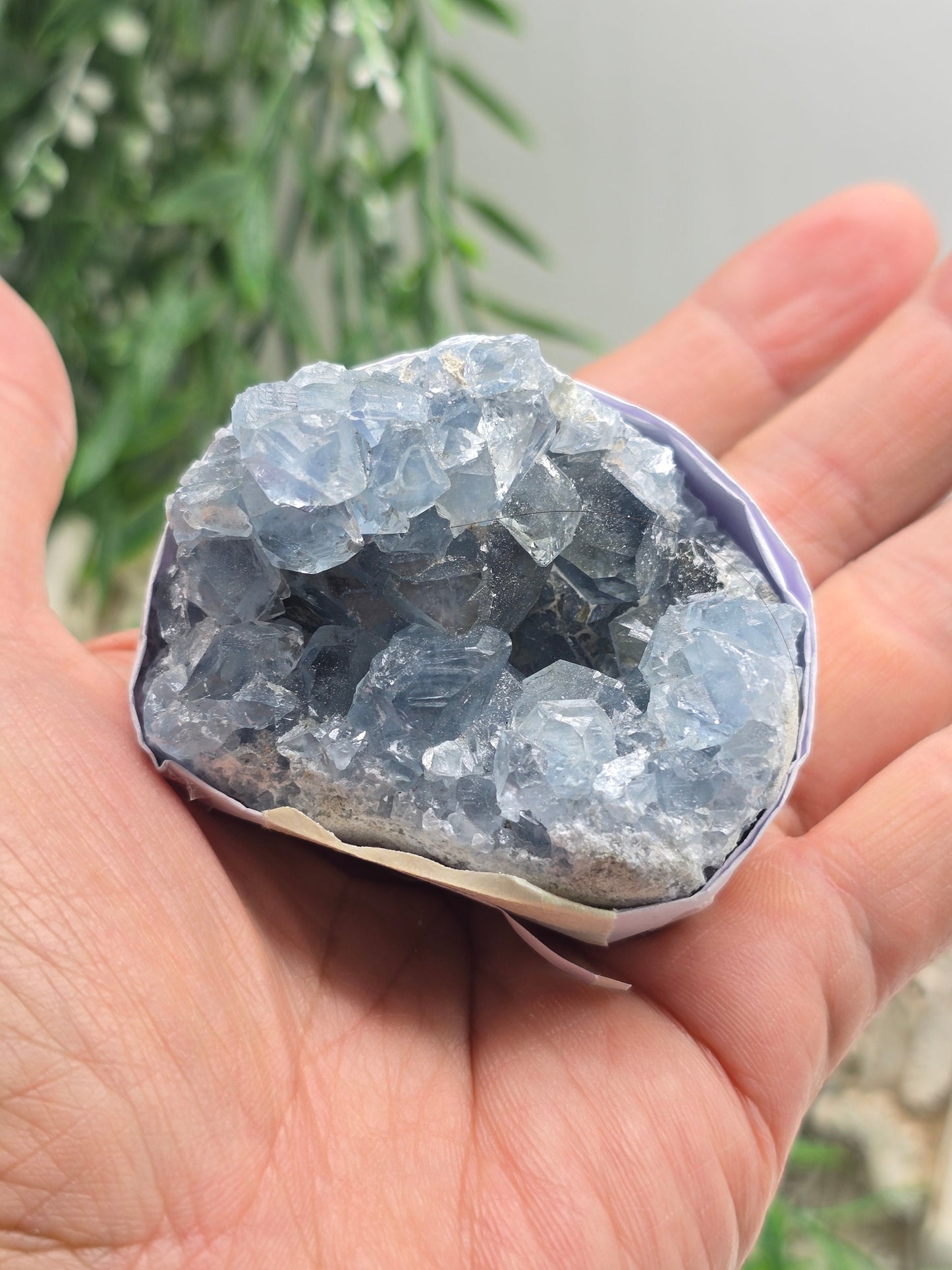 Natural Celestite Cluster – Madagascar | Angelic Communication, Peace & Spiritual Connection Crystal Wellness
