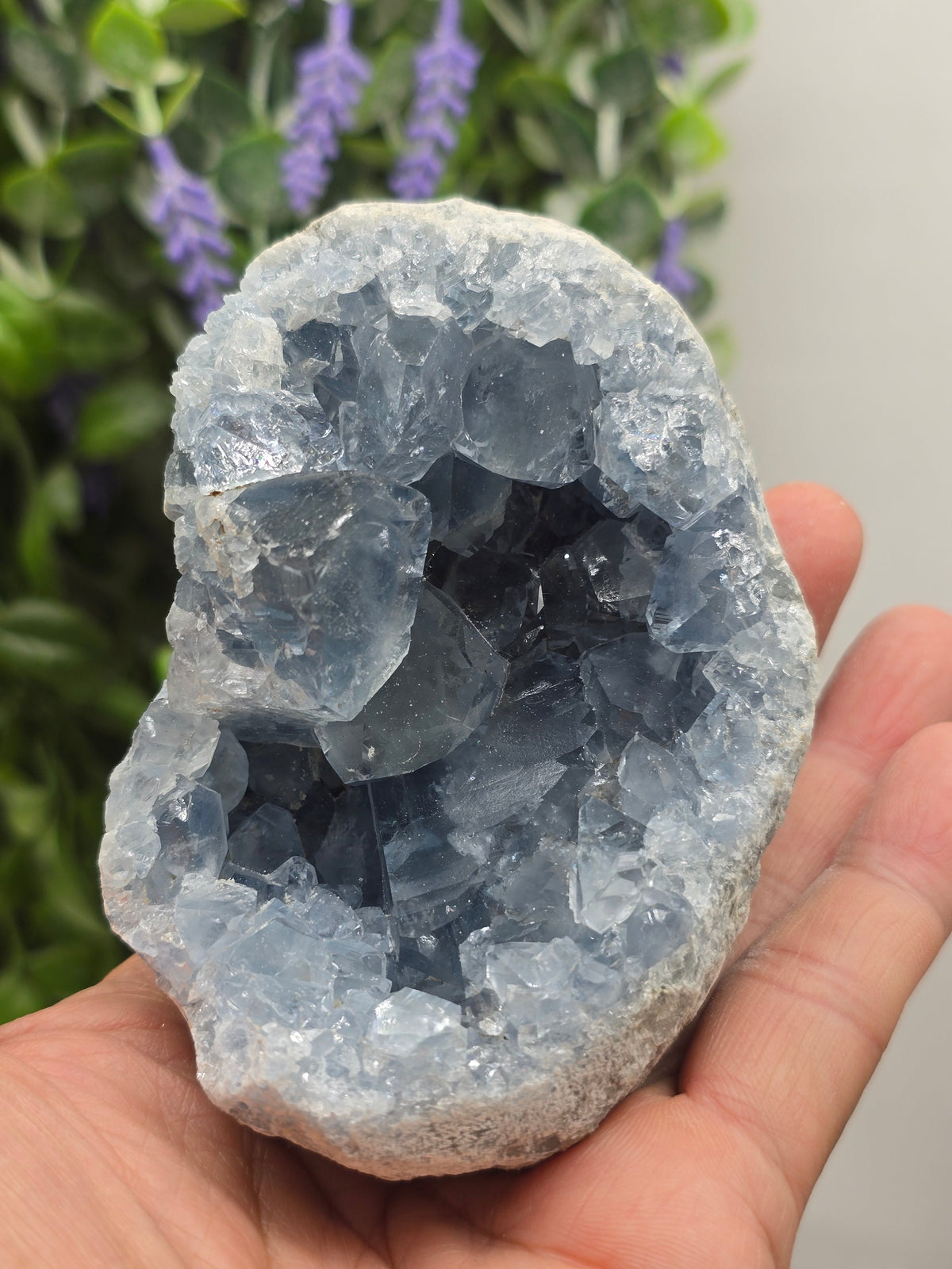 Celestite Geode — Stone of Divine Peace, Angelic Connection & Inner Calm | 625g Crystal Wellness