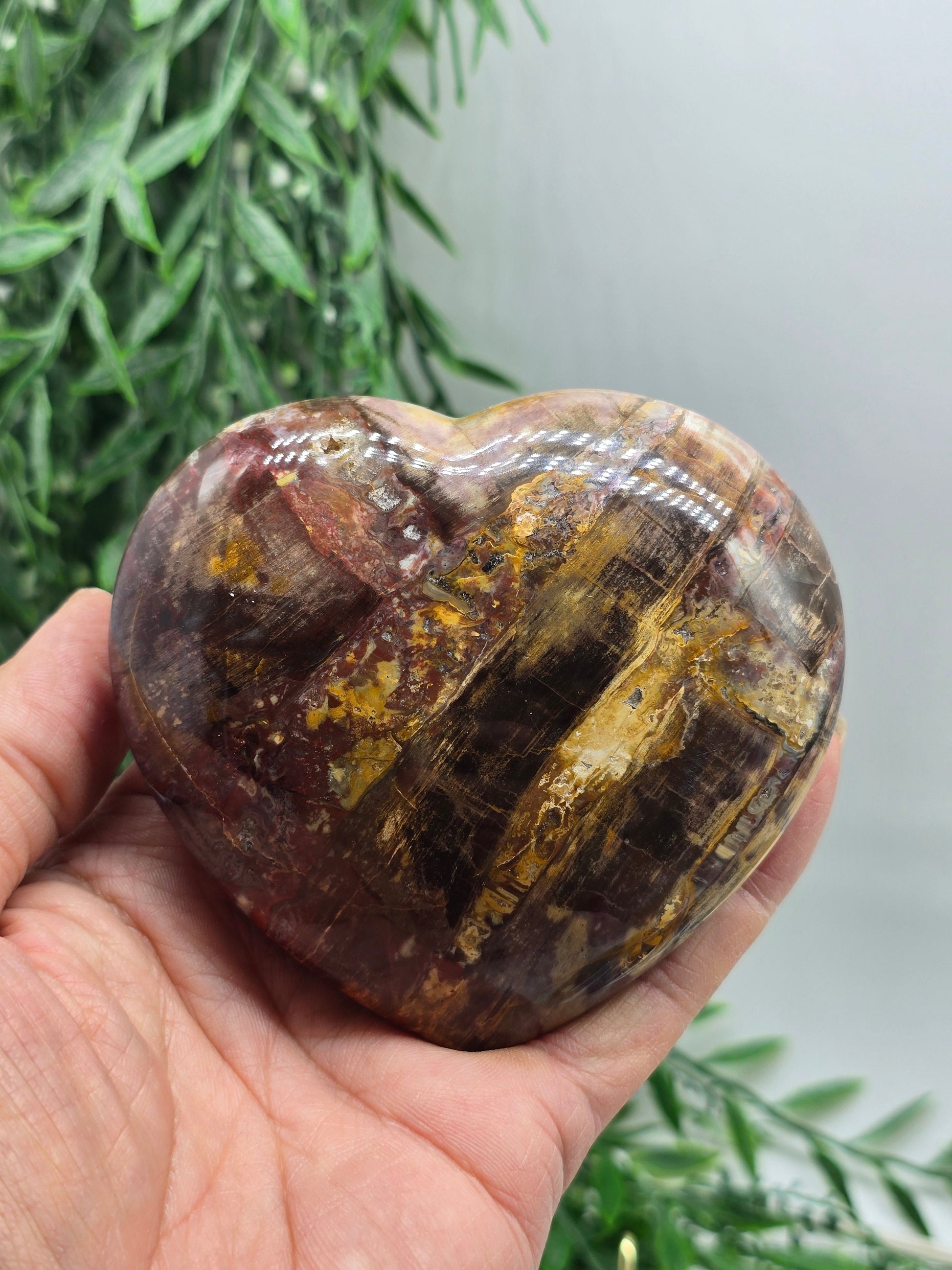 Premium Grade Madagascar Petrified Wood Heart – Stone of Stability and Enduring Success | 458g Crystal Wellness