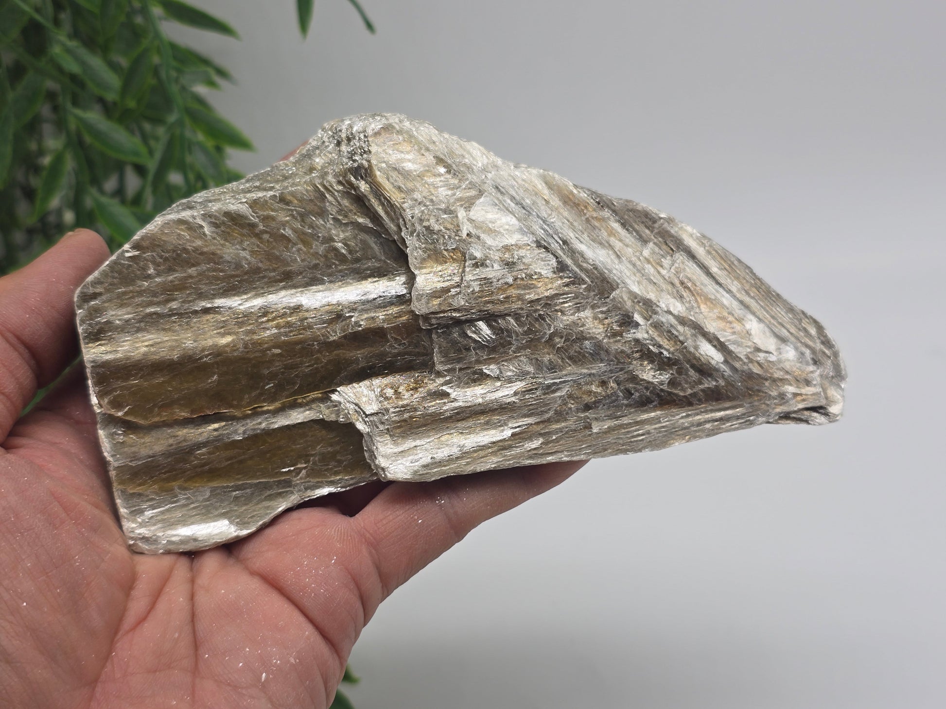 Mystical Brazilian Mica Crystal – 16x8x5cm | 327g Crystal Wellness