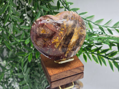 Premium Grade Madagascar Petrified Wood Heart – Stone of Stability and Enduring Success | 458g Crystal Wellness