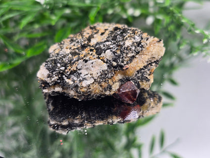 Rare Red Zircon Crystals – 72g, 6x5x2cm Collector’s Specimen Crystal Wellness