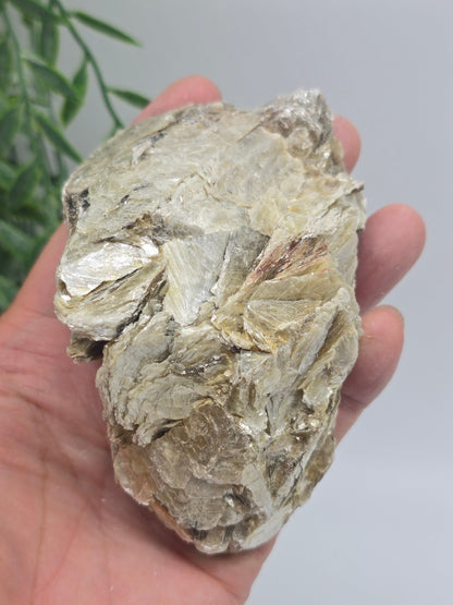 Rare Mica with Black Tourmaline – 11x7x6cm | 0.4kg Crystal Wellness