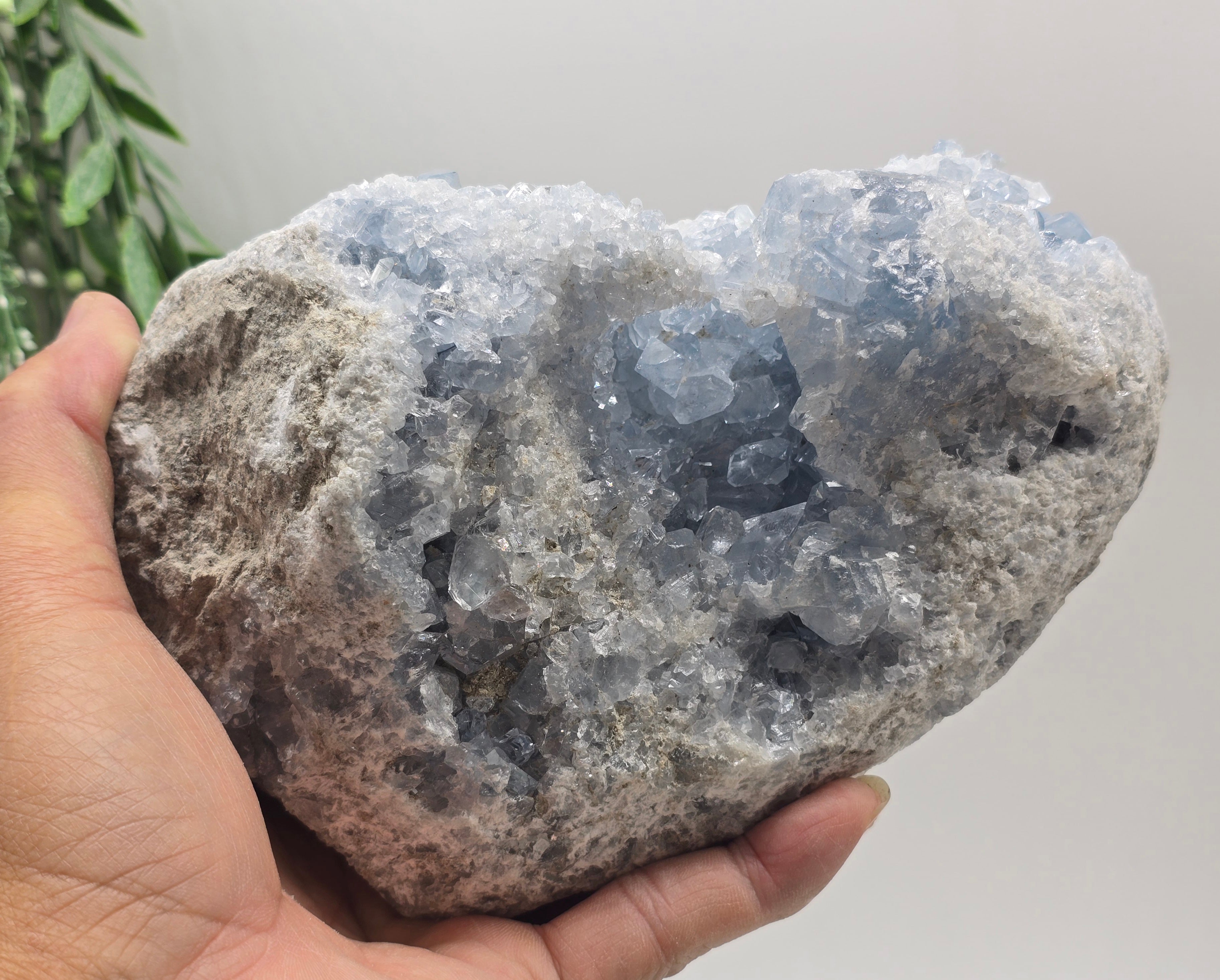 Celestial Calm Celestite Geode – 3kg Madagascar Crystal Wellness