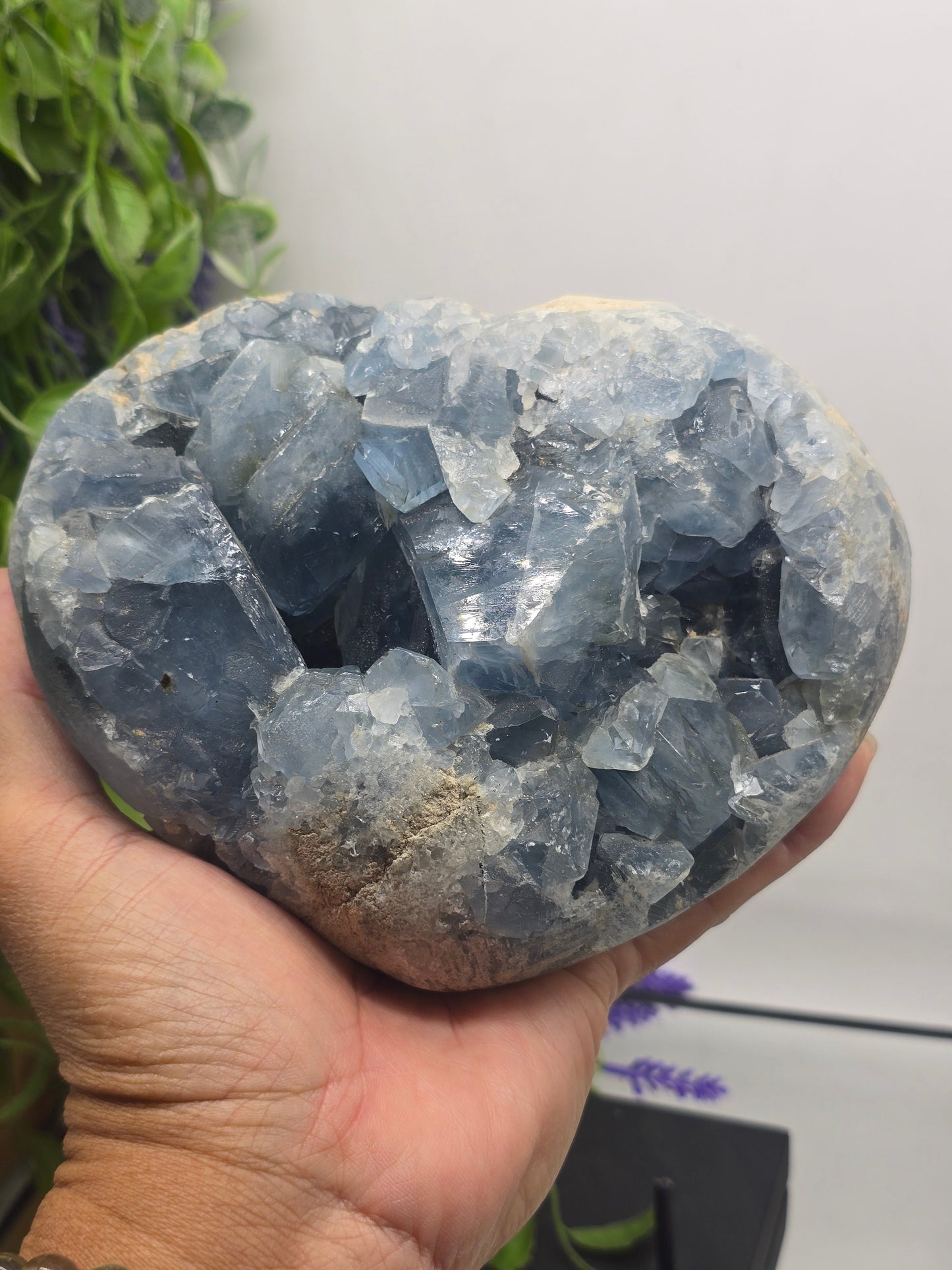 Celestial Calm – Celestite Crystal Geode (3.5kg)” Crystal Wellness