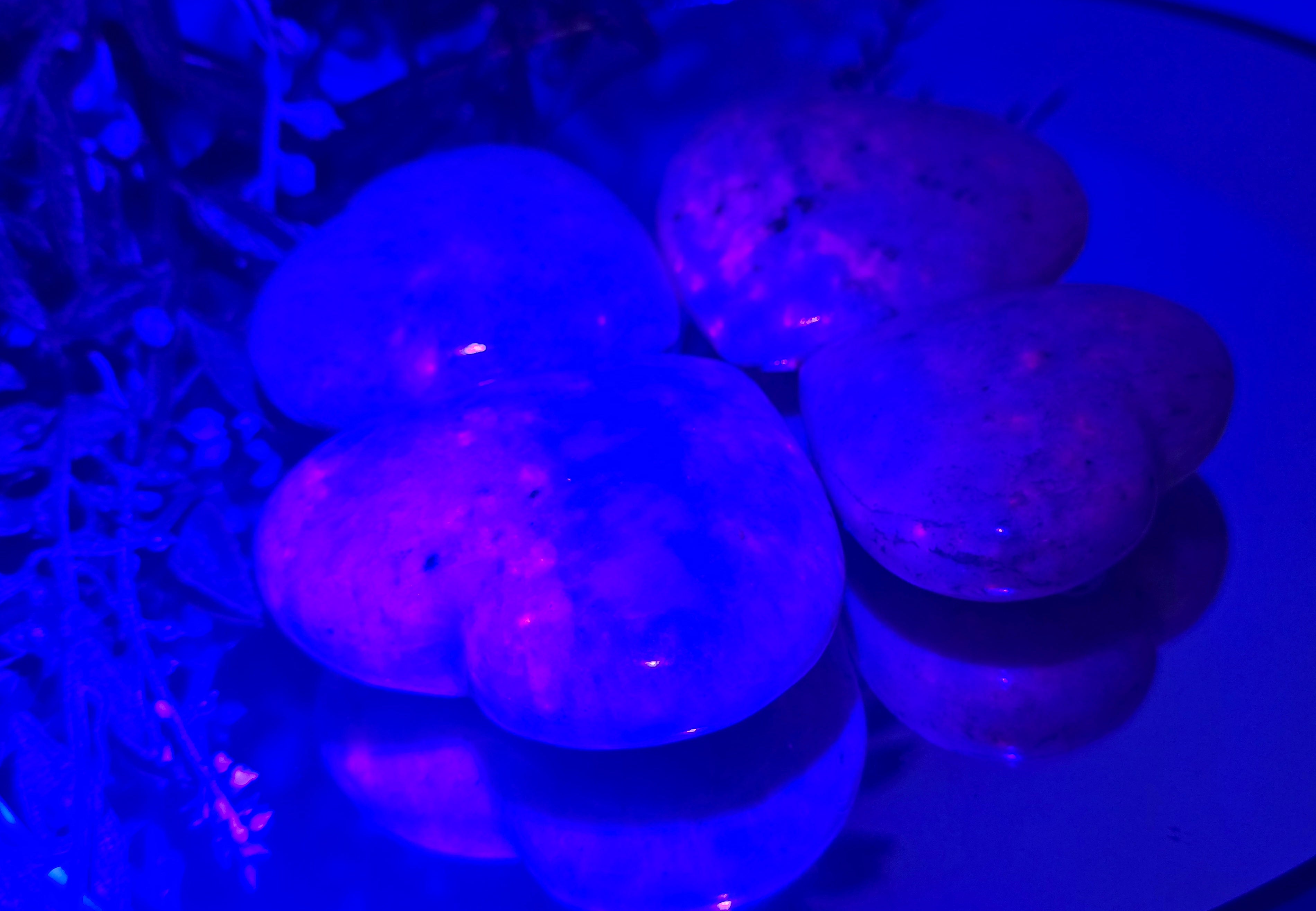 💜 Hackmanite Heart – Stone of Transformation, Inner Magic & Self-Discovery Crystal Wellness