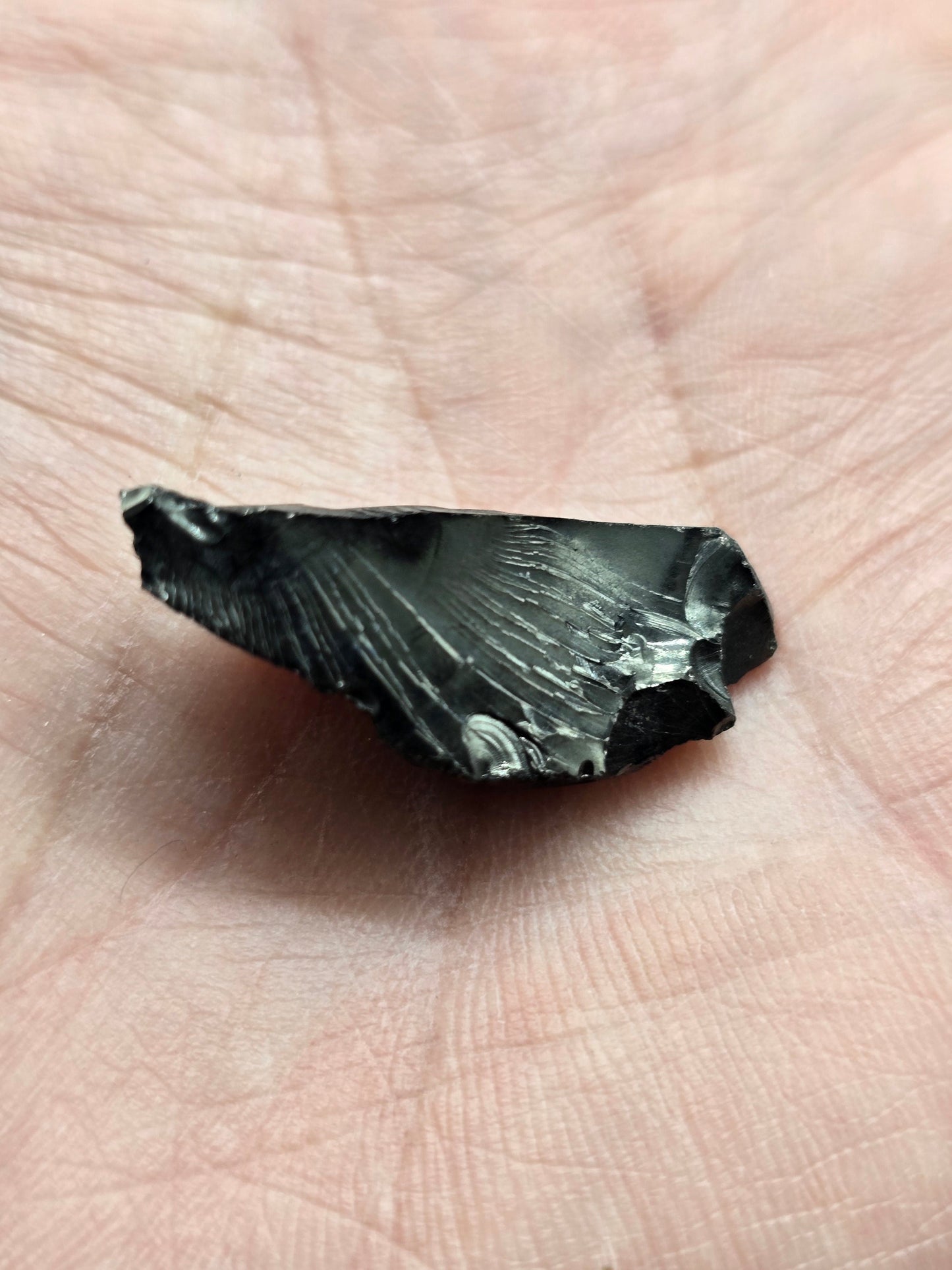 Elite Noble Shungite – Natural Raw Stones | Karelia, Russia Crystal Wellness