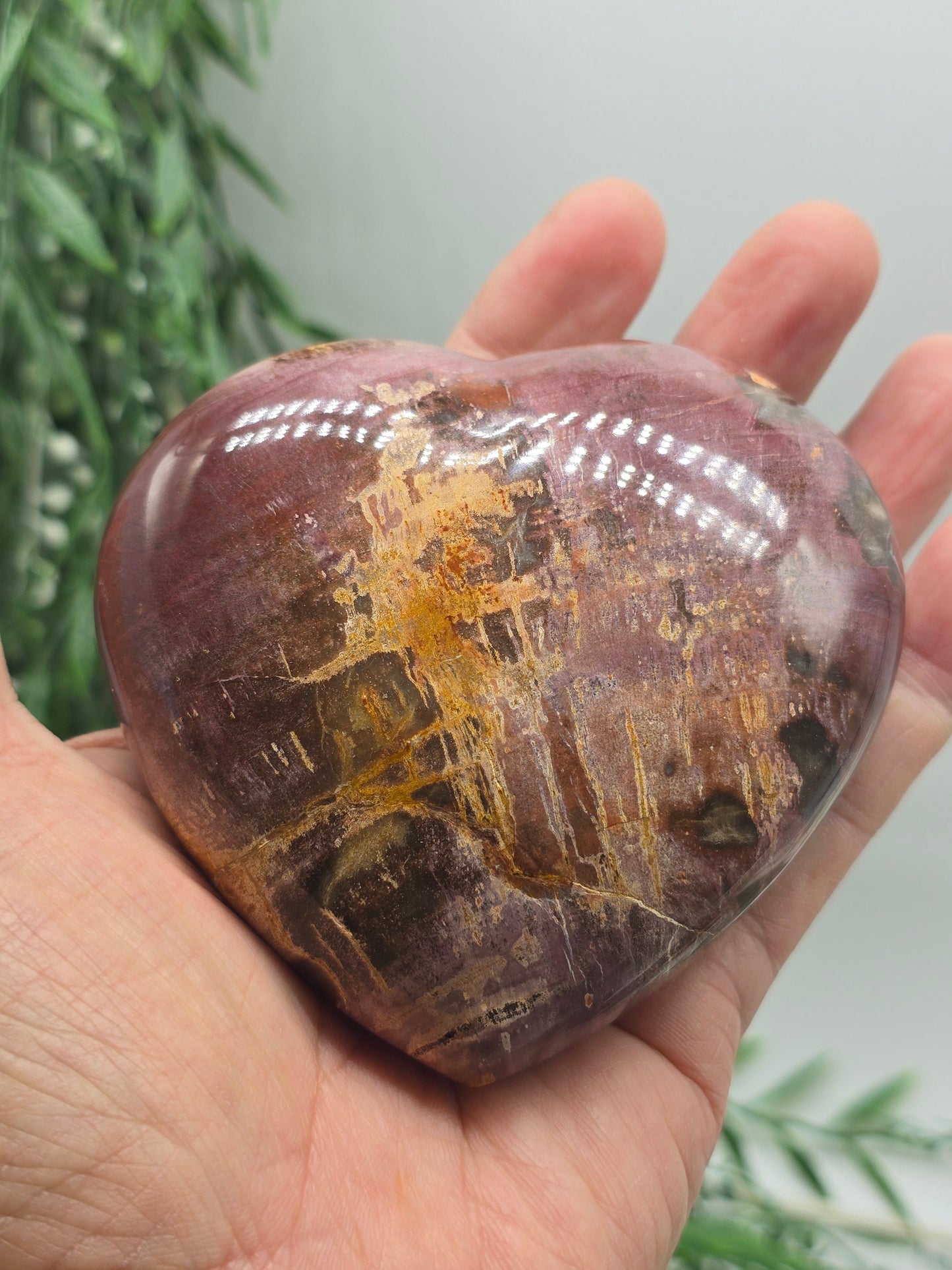 Premium Grade Madagascar Petrified Wood Heart with Wooden Stand – 480g (Stone of Stability and Enduring Success) Crystal Wellness