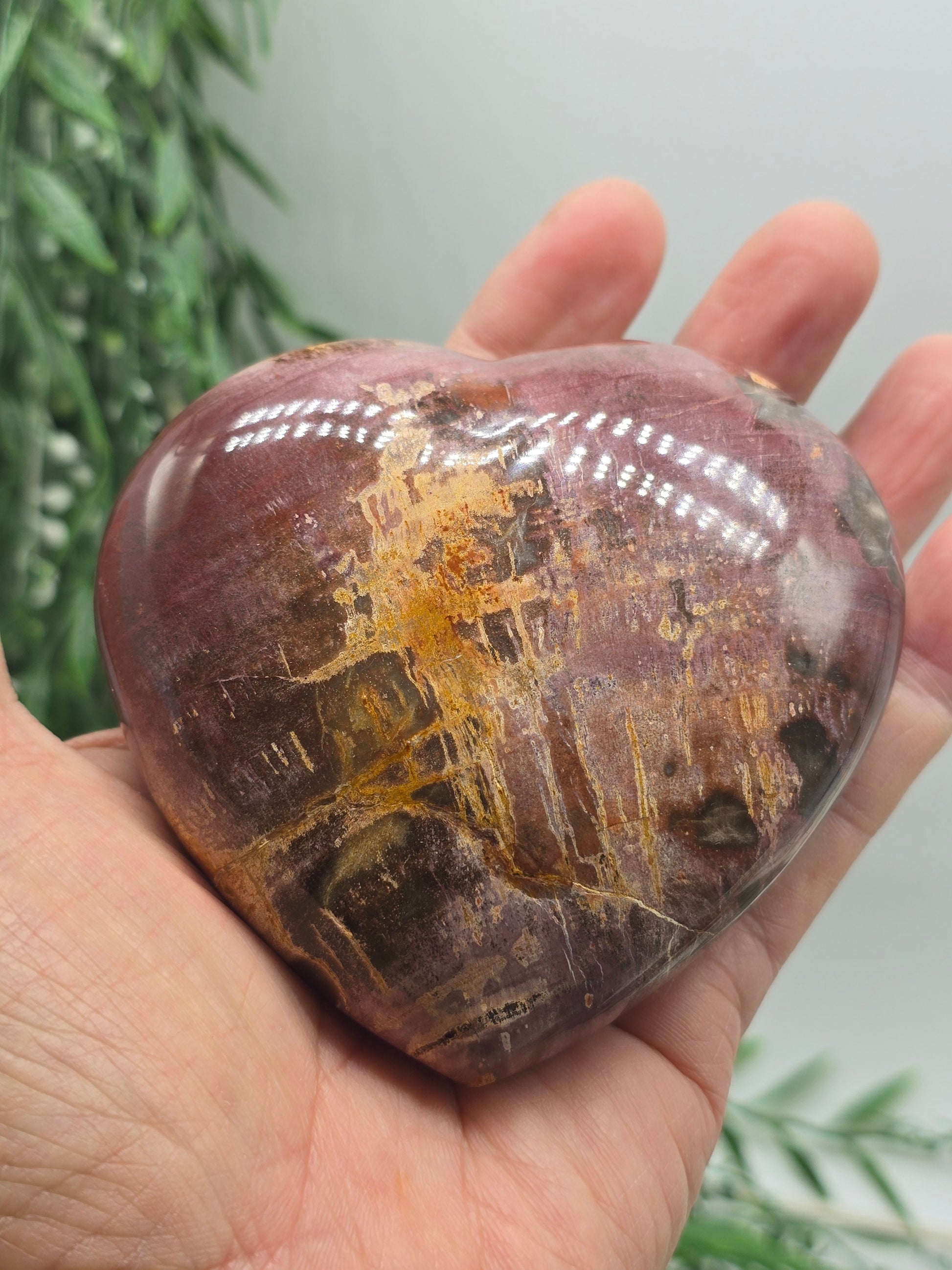 Premium Grade Madagascar Petrified Wood Heart with Wooden Stand – 480g (Stone of Stability and Enduring Success) Crystal Wellness