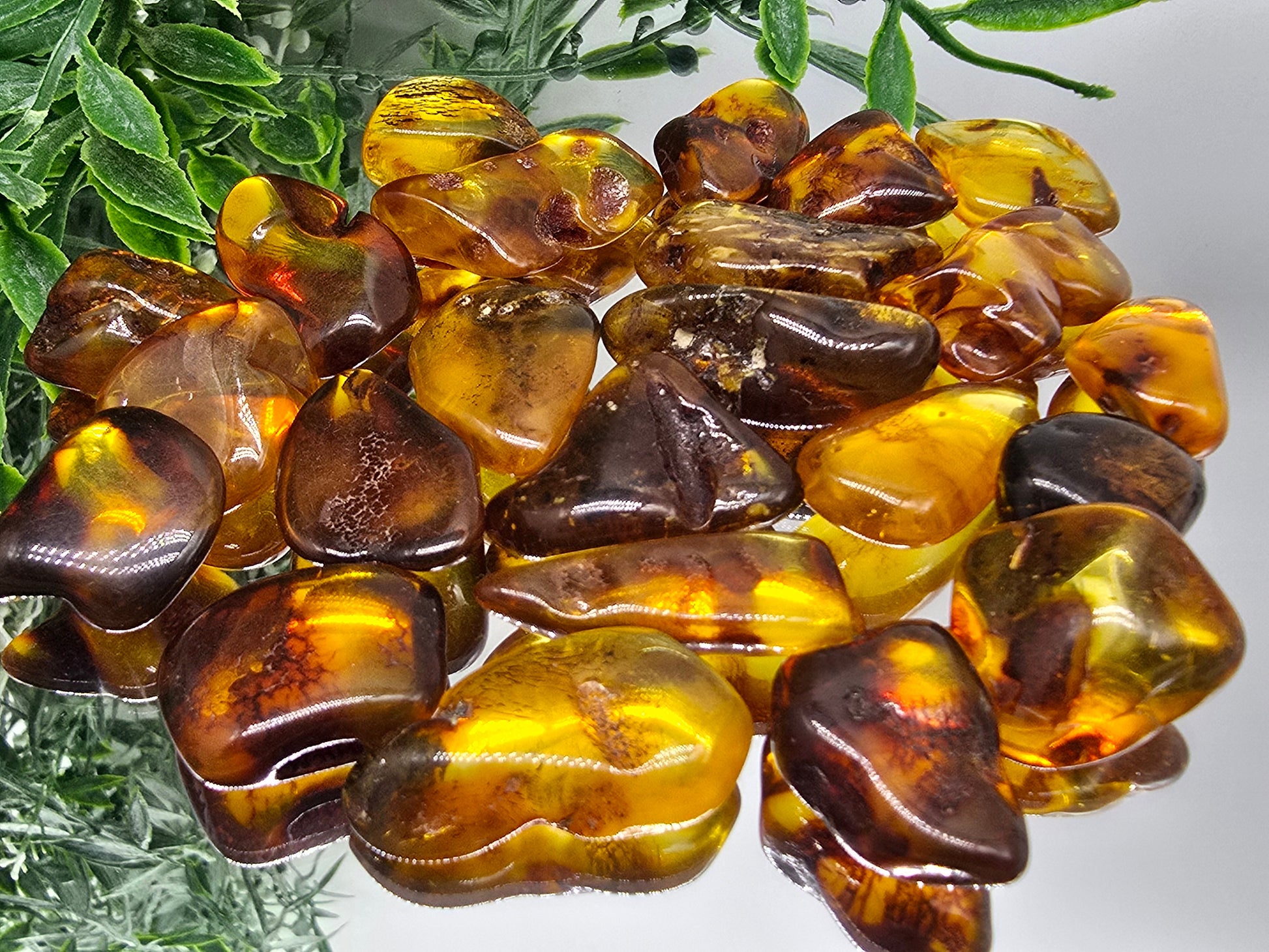 Baltic Amber Tumbled Stones (Stone of Ancient Light & Vital Life Force) Crystal Wellness