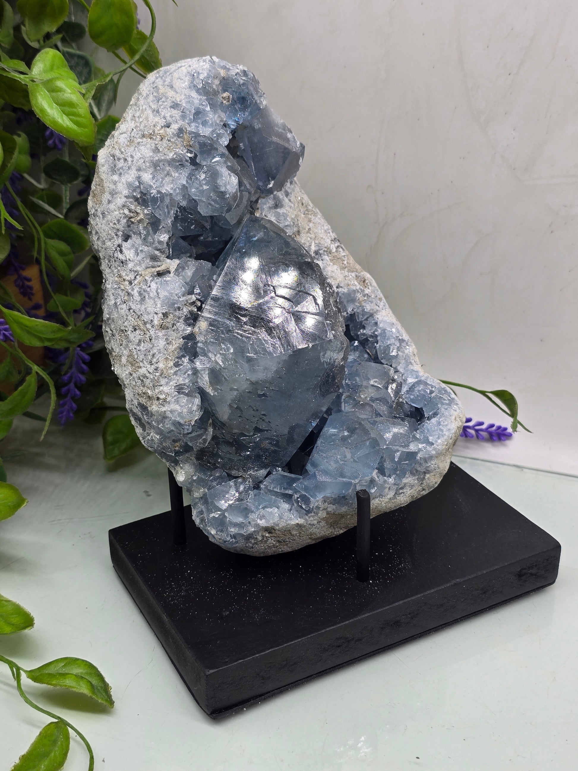 Celestite Geode Cluster 3kgs 19x14x10cm Premium Quality (Stone of Divine Peace & Angelic Connection) Crystal Wellness