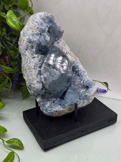Celestite Geode Cluster 3kgs 19x14x10cm Premium Quality (Stone of Divine Peace & Angelic Connection) Crystal Wellness