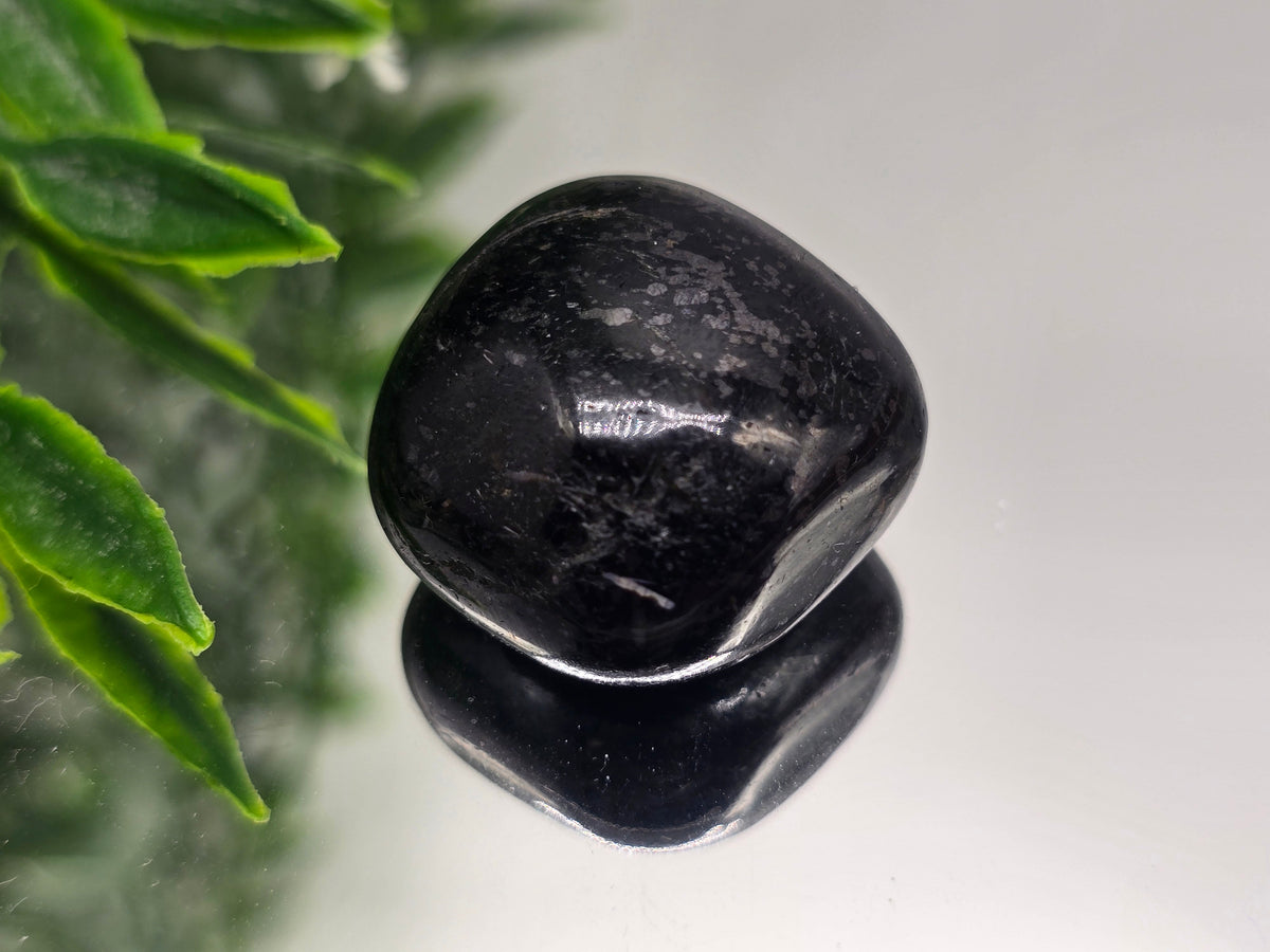 Genuine Nuumite Tumbled Stone (Stone of Ancient Protection & Personal Power) Crystal Wellness