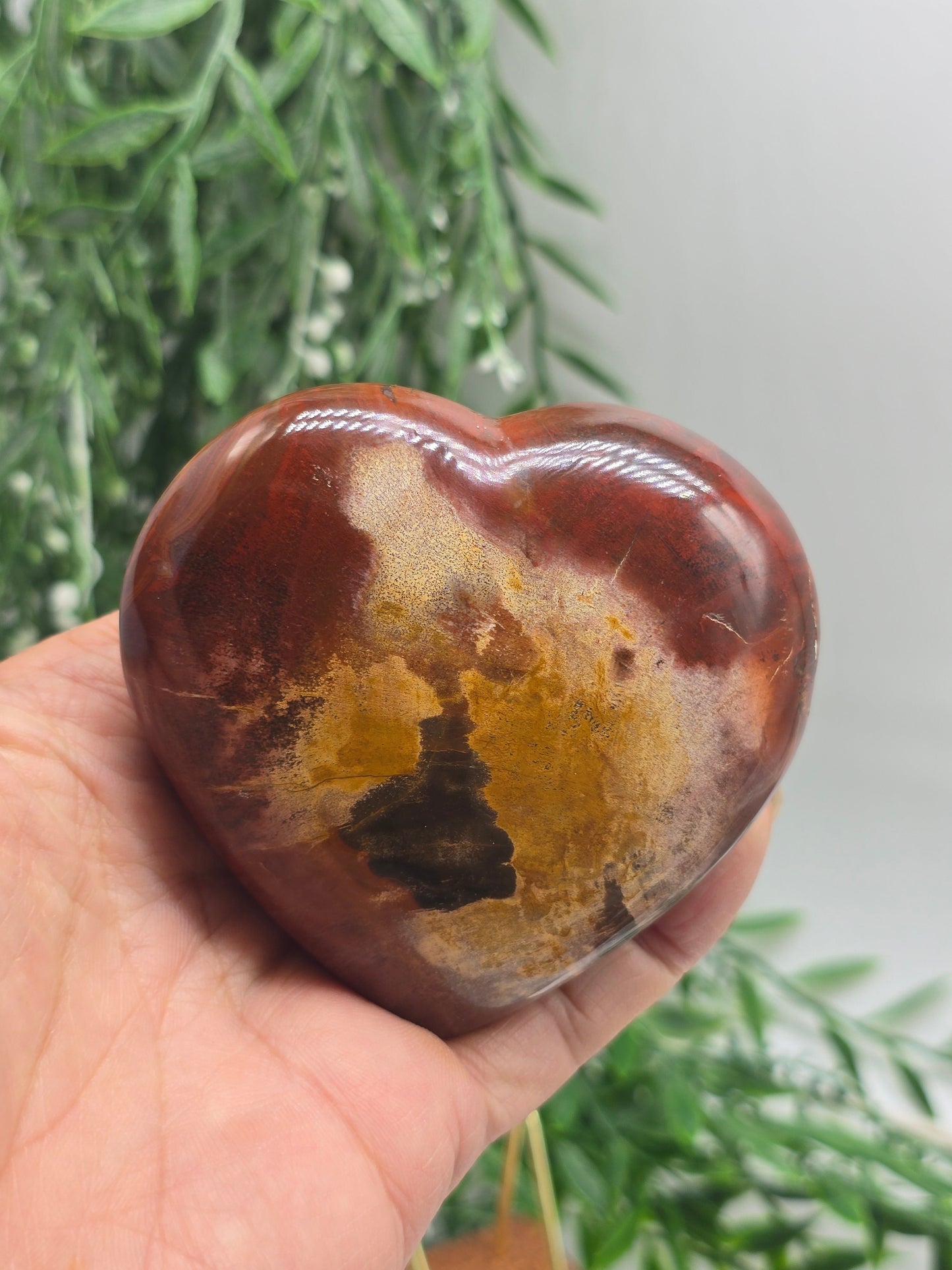 Premium Grade Madagascar Petrified Wood Heart – Stone of Stability and Enduring Success | 317g Crystal Wellness