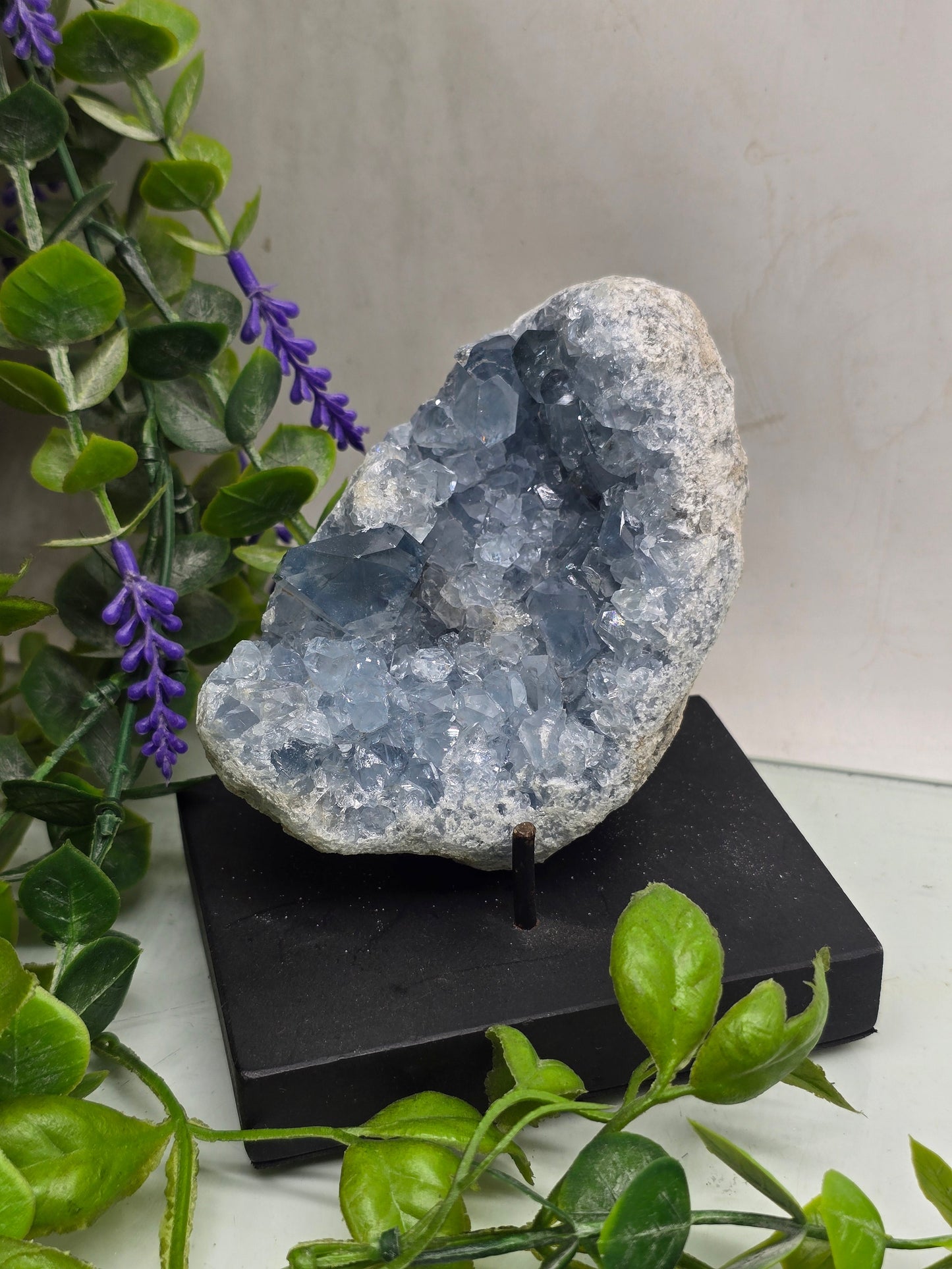Celestite Geode (Madagascar) – Premium Quality | Serenity • Divine Connection • Inner Peace Crystal Wellness