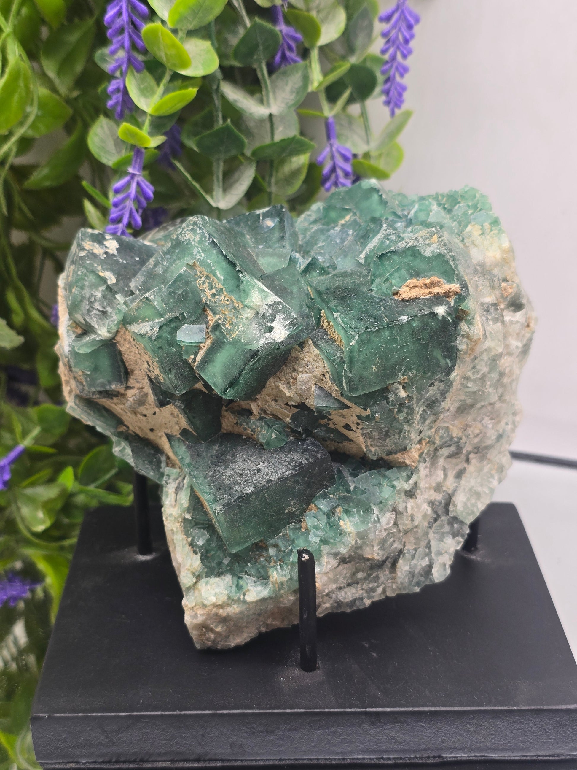 Natural Green Fluorite Cluster — Madagascar (Stone of Clarity & Renewal) Crystal Wellness