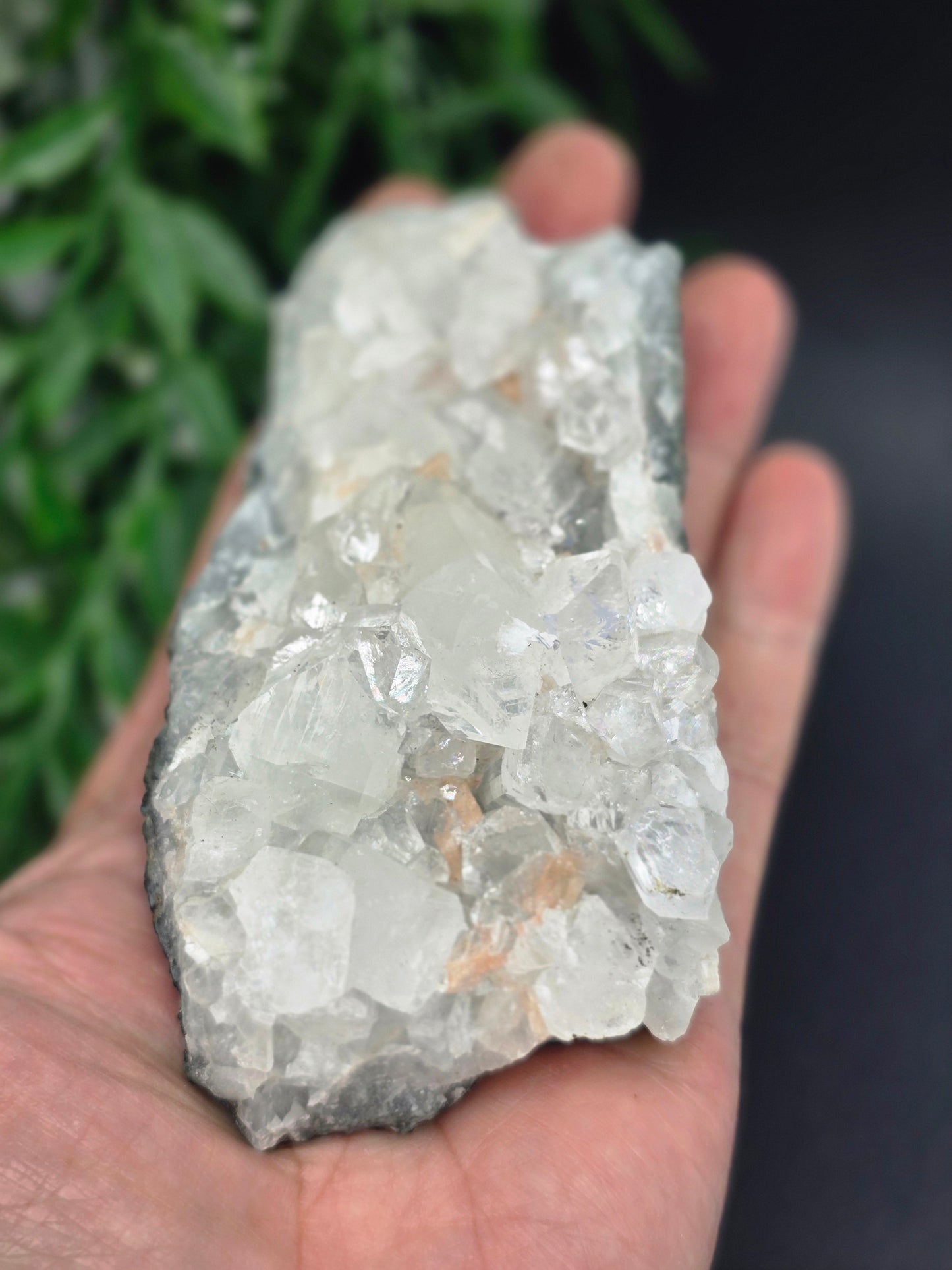 Apophyllite #5 Crystal Wellness