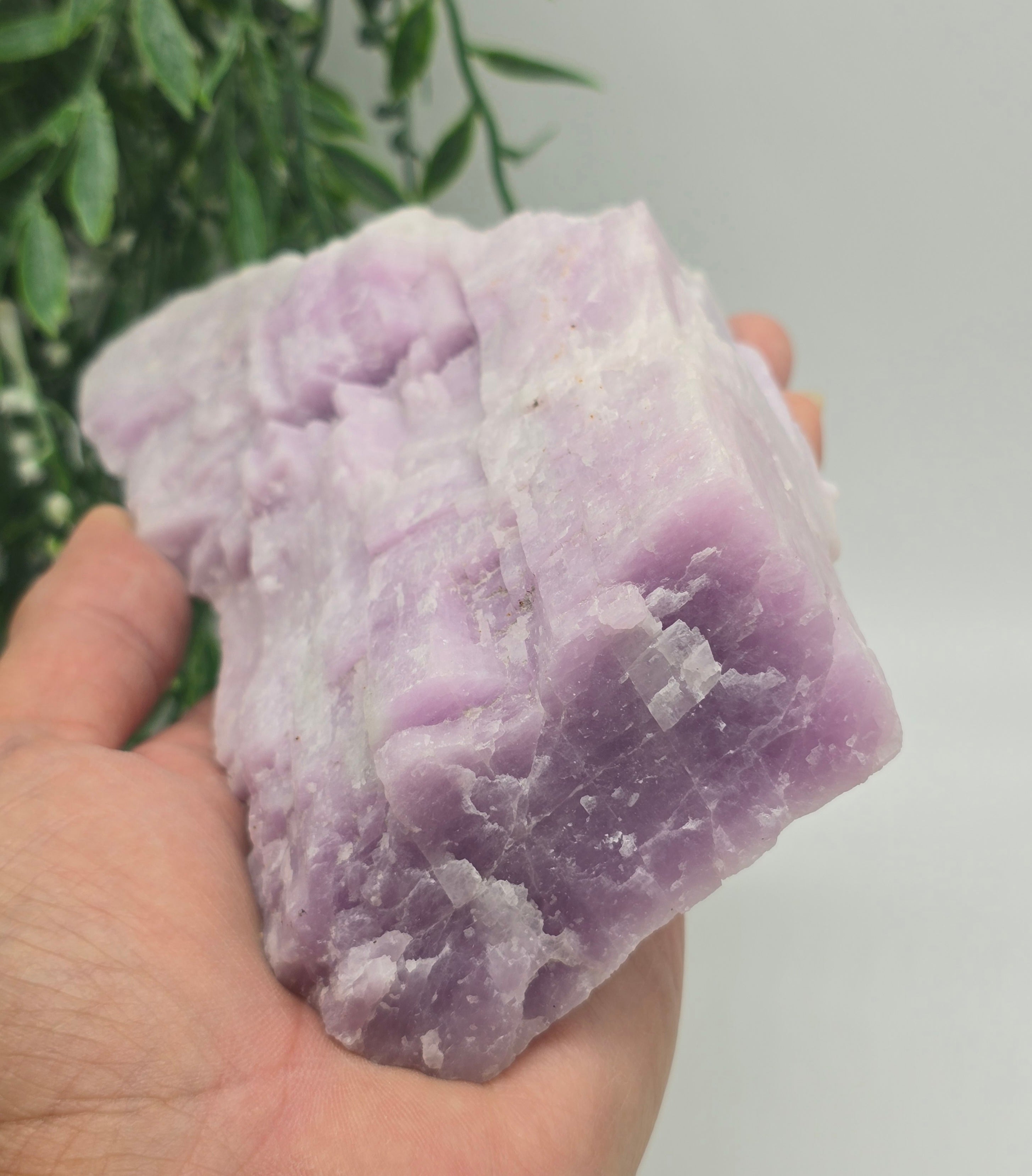 Kunzite Raw 5.5g Crystal Wellness