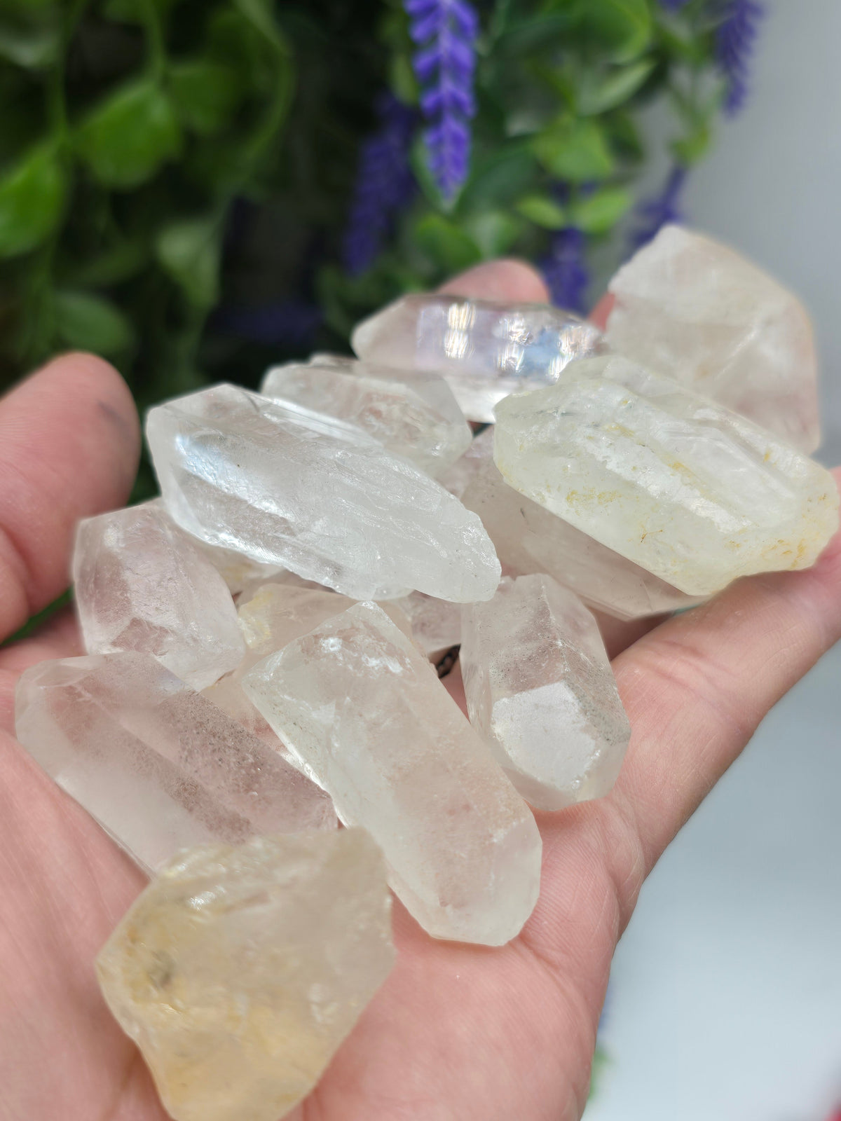 Clear Quartz Point Crystal Wellness