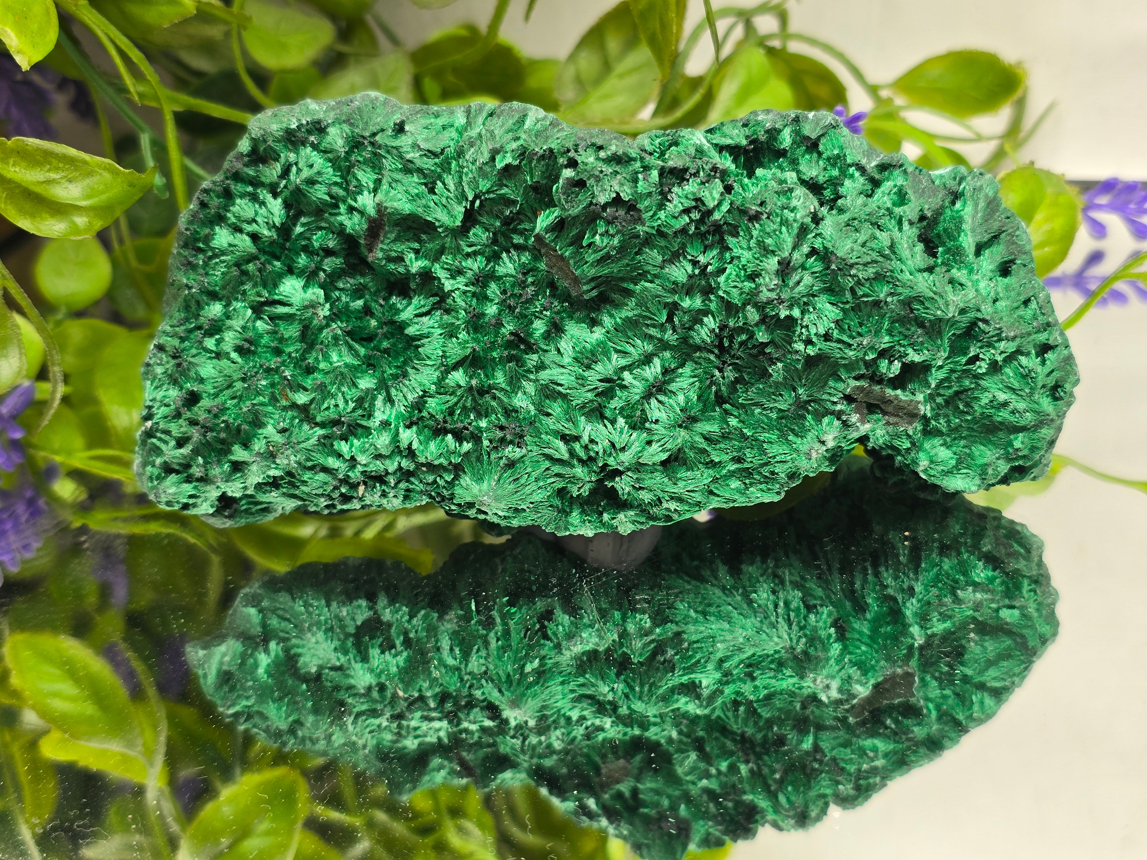 Fibrous Malachite Specimen 415g (Stone of Deep Transformation & Protection)