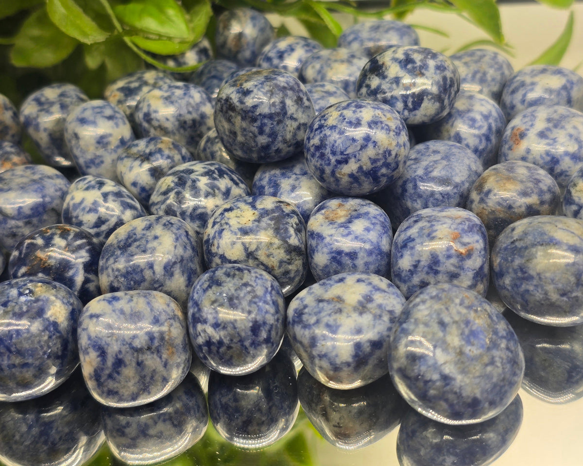Light Blue Jasper Rocks Blue Spot Jasper Tumbled Stone – Crystal Wellness