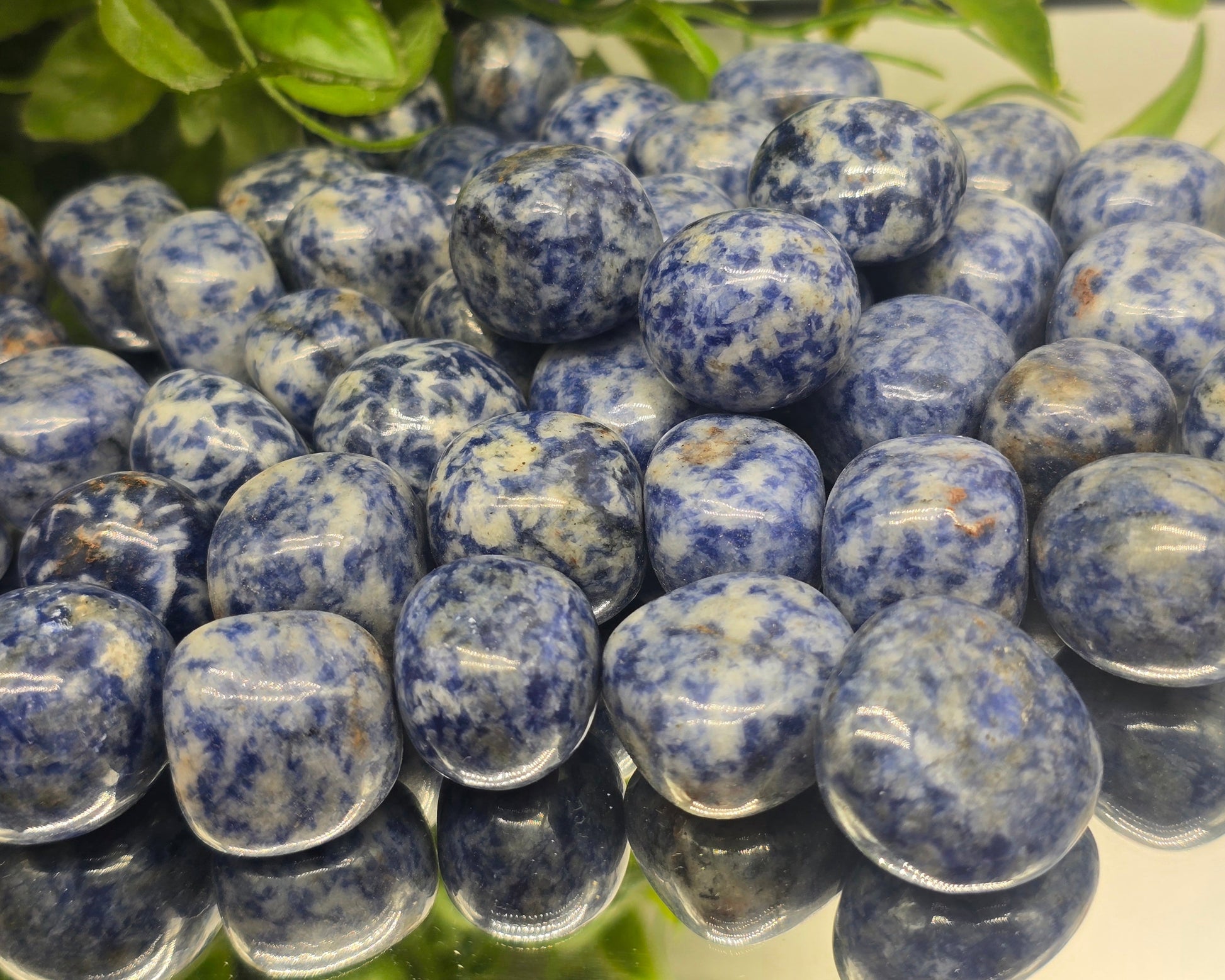 Blue Spot Jasper Tumbled Stone Crystal Wellness