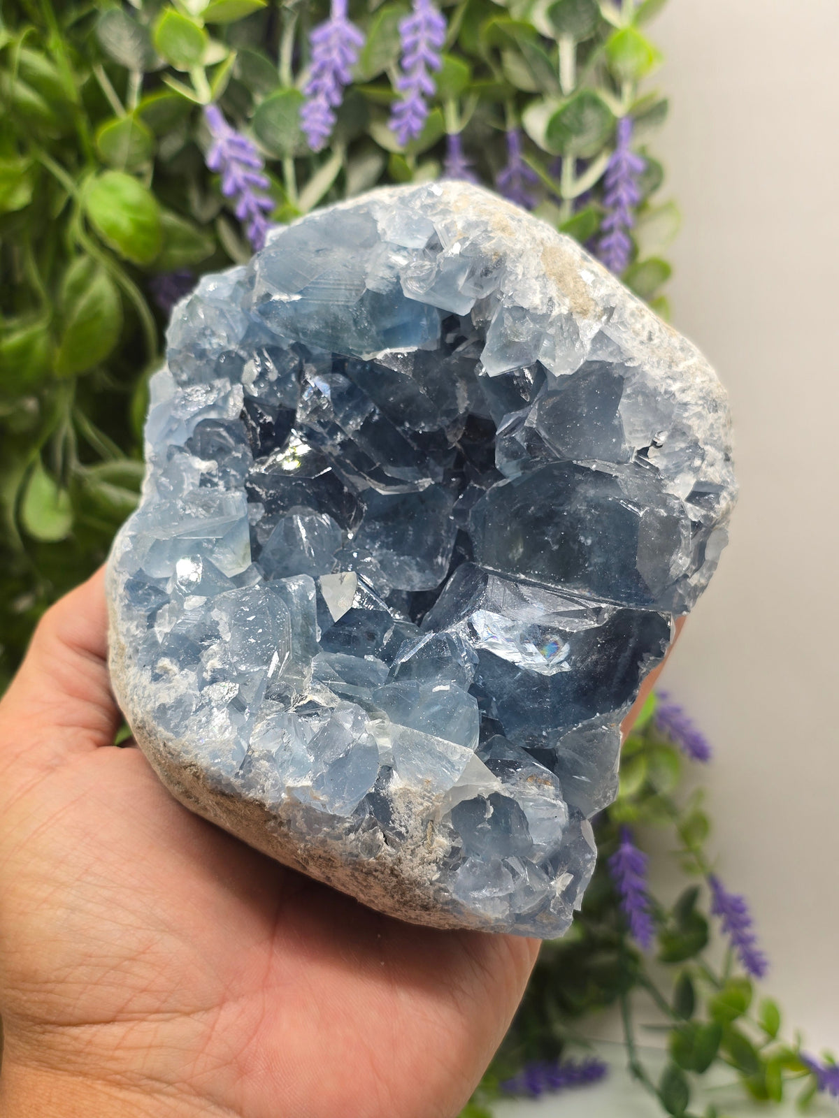 Celestite Geode High Grade – Stone of Divine Peace, Angelic Connection & Inner Harmony | 1.8kgs Crystal Wellness