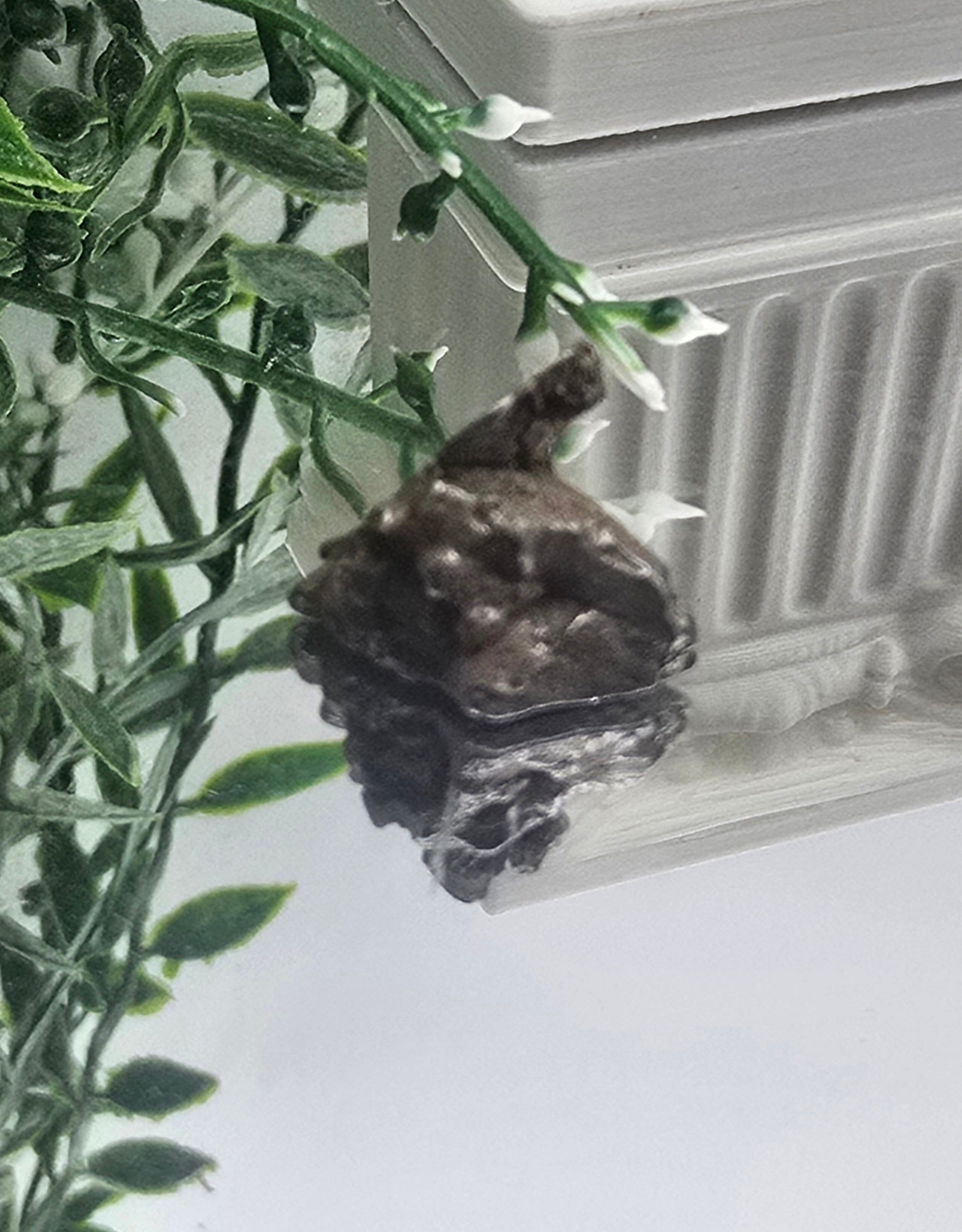 ✨ Sikhote-Alin Iron Meteorite – 3.07g | Starfire of Ancient Universes Crystal Wellness