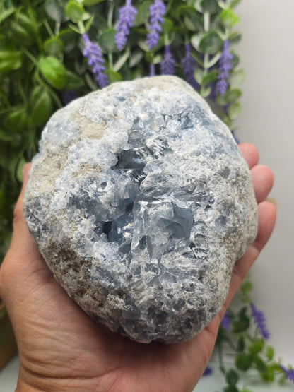 Celestite Geode High Grade – Stone of Divine Peace, Angelic Connection & Inner Harmony | 2.2kgs Crystal Wellness