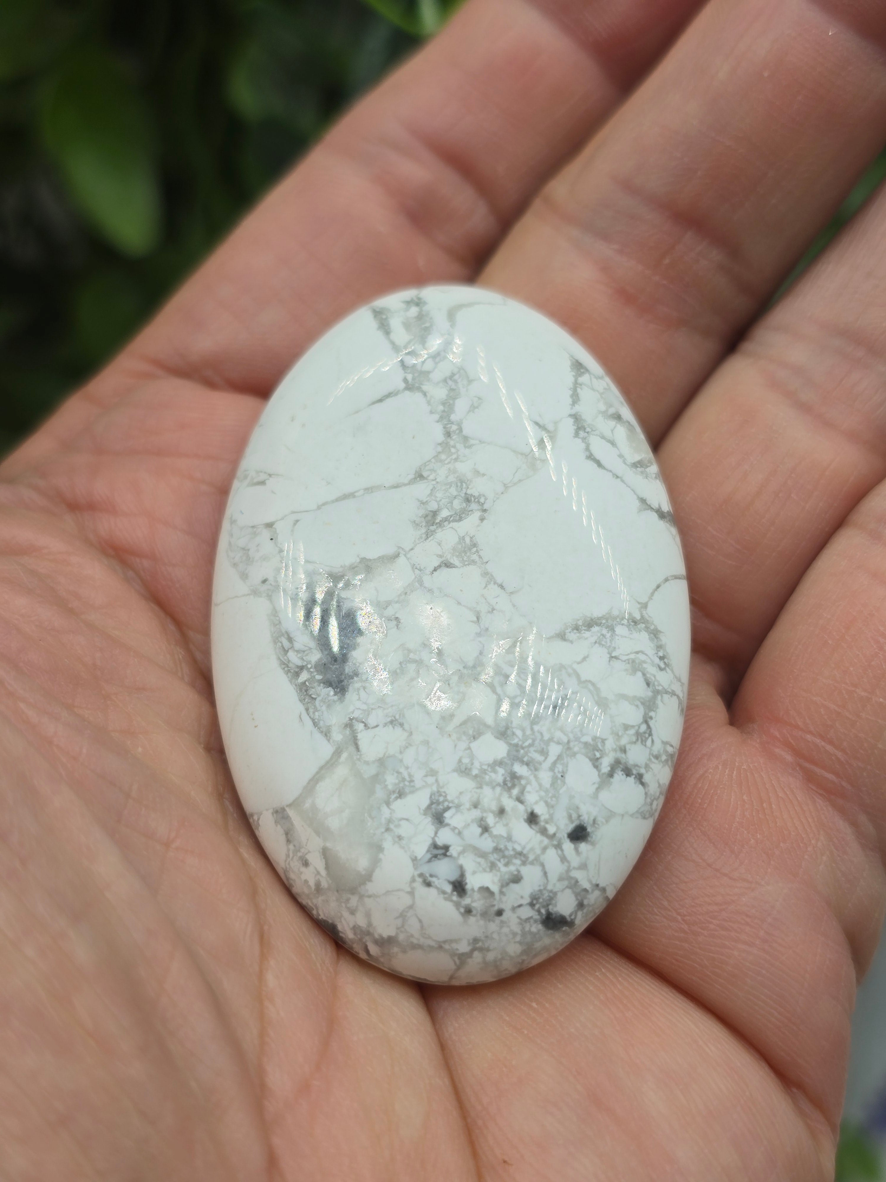 Howlite Palm Stone (Stone of Calmness & Patience) Crystal Wellness