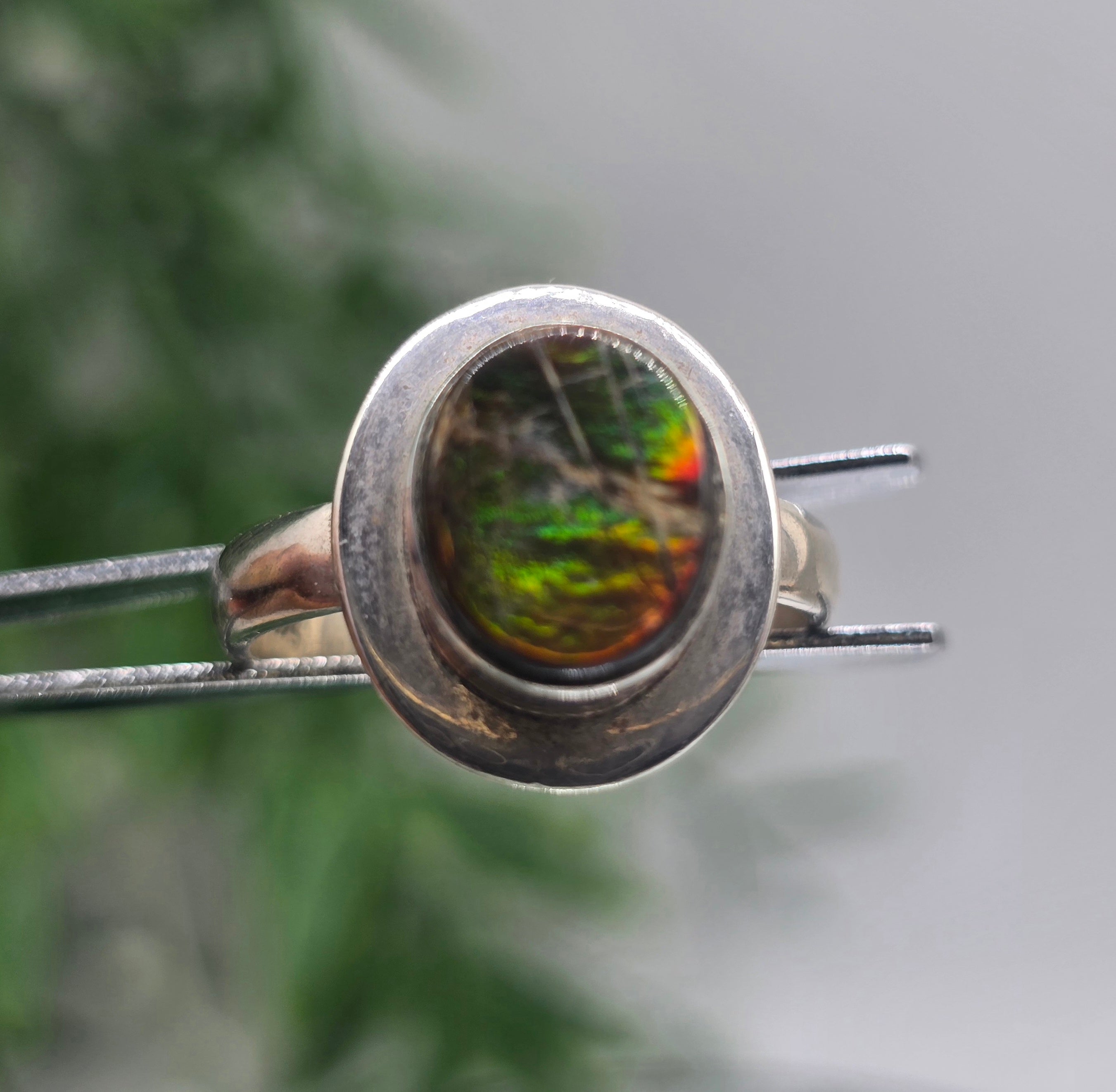 🌈 Canadian Ammolite 925 Sterling Silver Ring – Size 9 | Stone of Transformation, Prosperity & Ancient Earth Energy Crystal Wellness