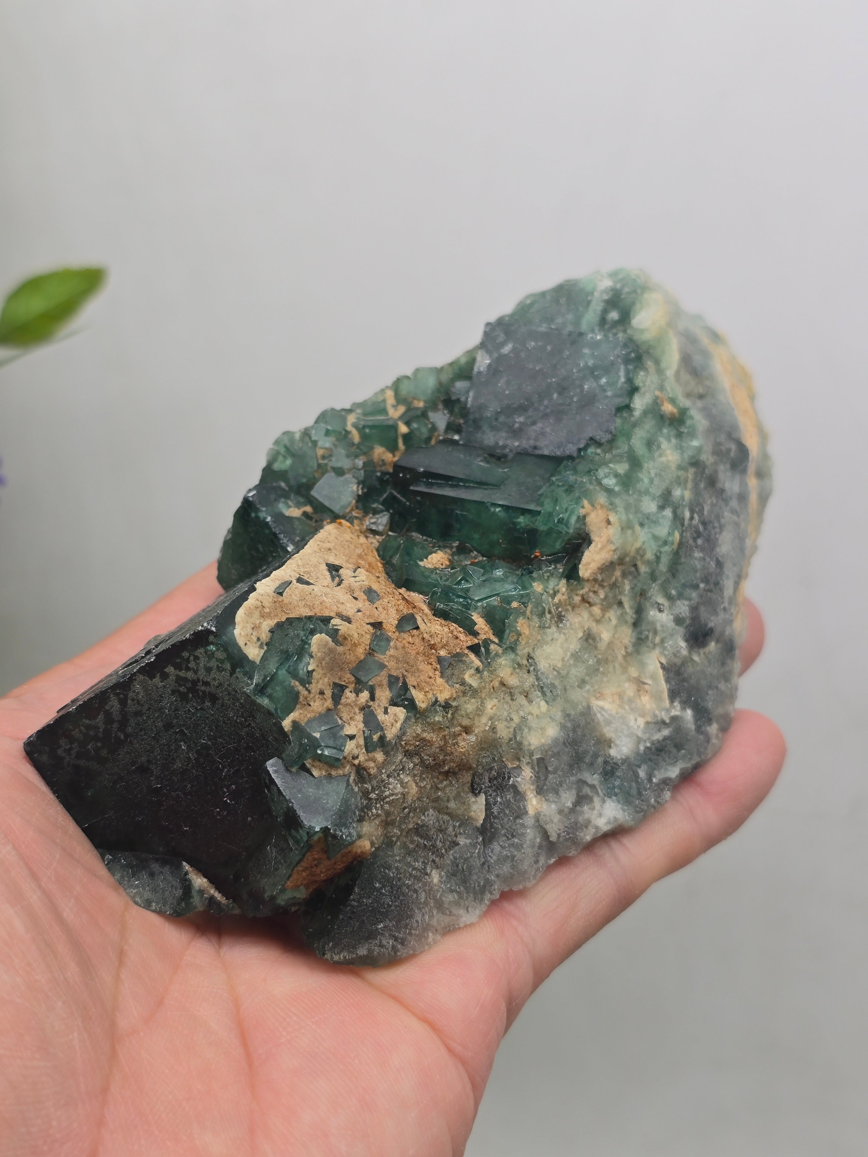 Green Fluorite Cluster Specimen Premium Quality(Stone of Clarity & Heart Alignment) Crystal Wellness