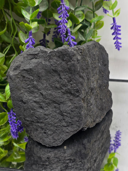 Raw Shungite — Stone of Grounding & Protection | 1.350kgs Crystal Wellness