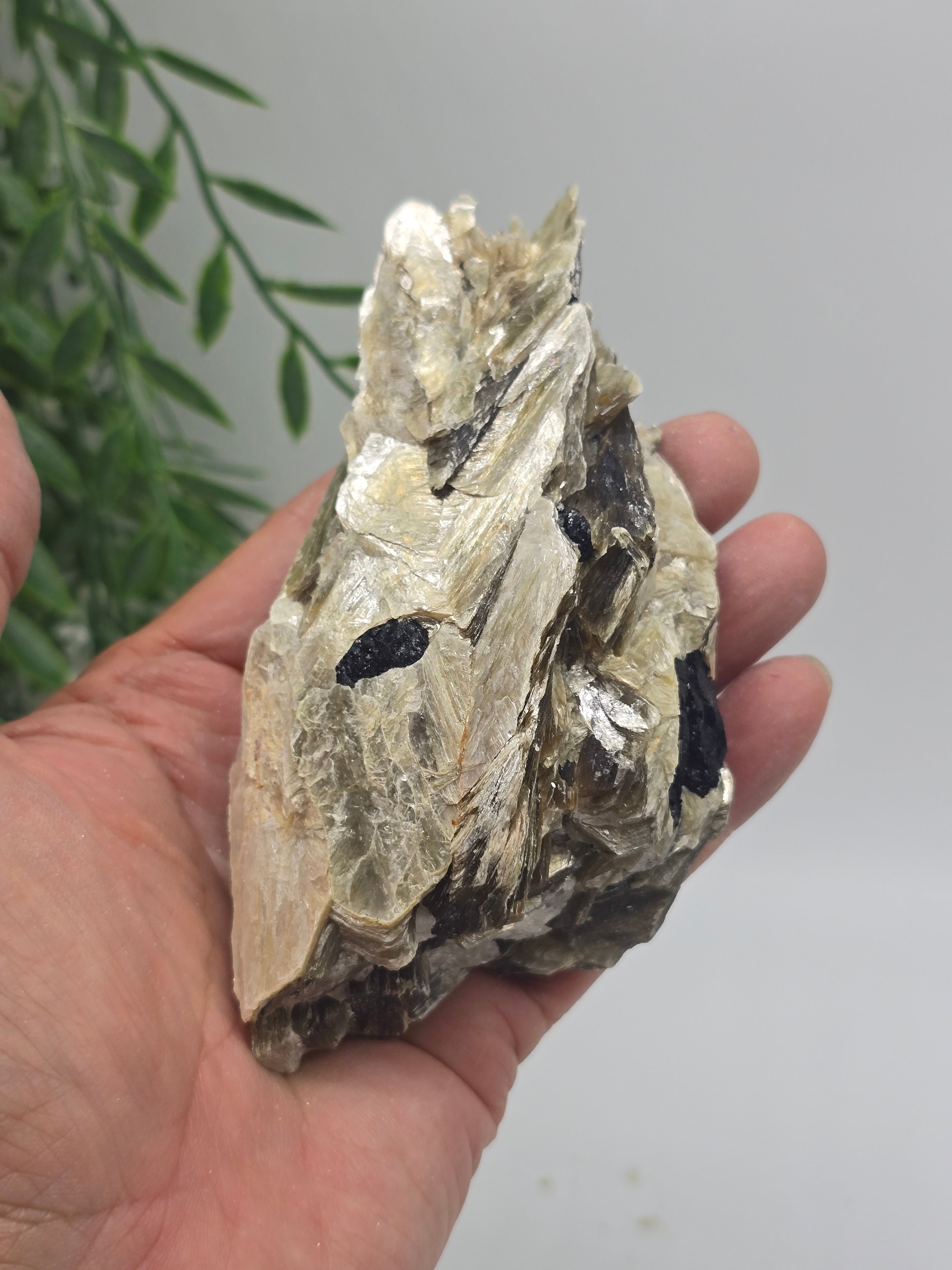 Rare Mica with Black Tourmaline – 13x7x4cm | 0.4kg Crystal Wellness