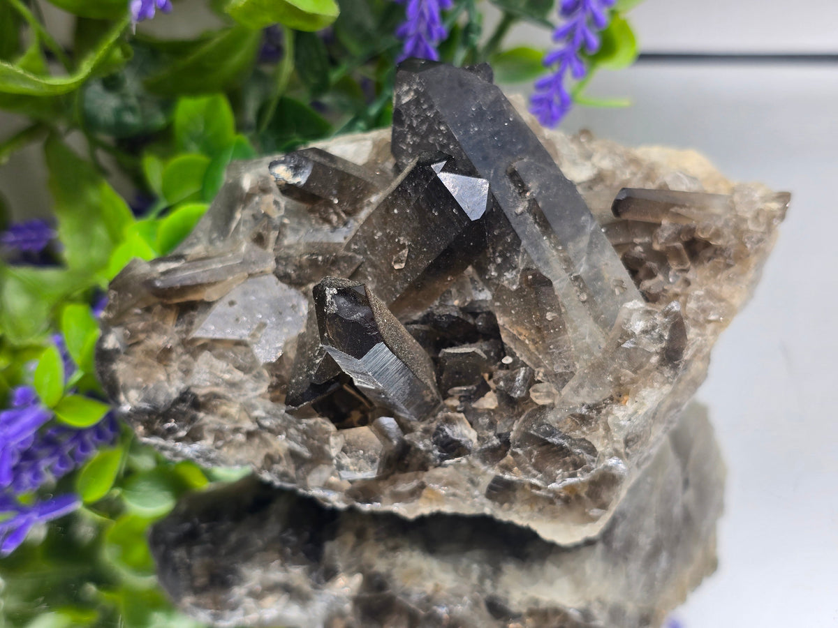 Smoky Quartz Cluster – Stone of Power, Grounding & Protection | 0.6kg Crystal Wellness