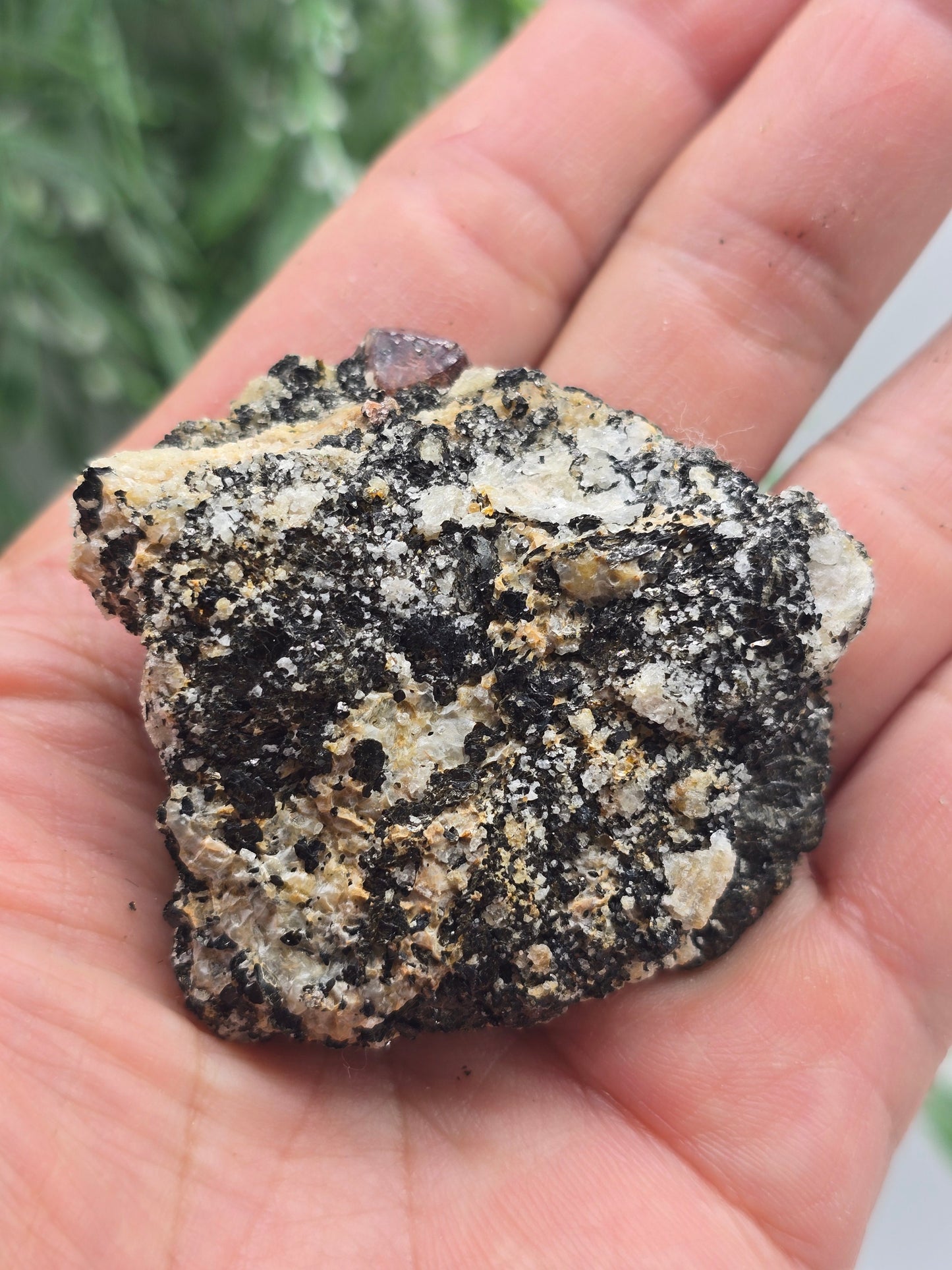 Rare Red Zircon Crystals – 72g, 6x5x2cm Collector’s Specimen Crystal Wellness