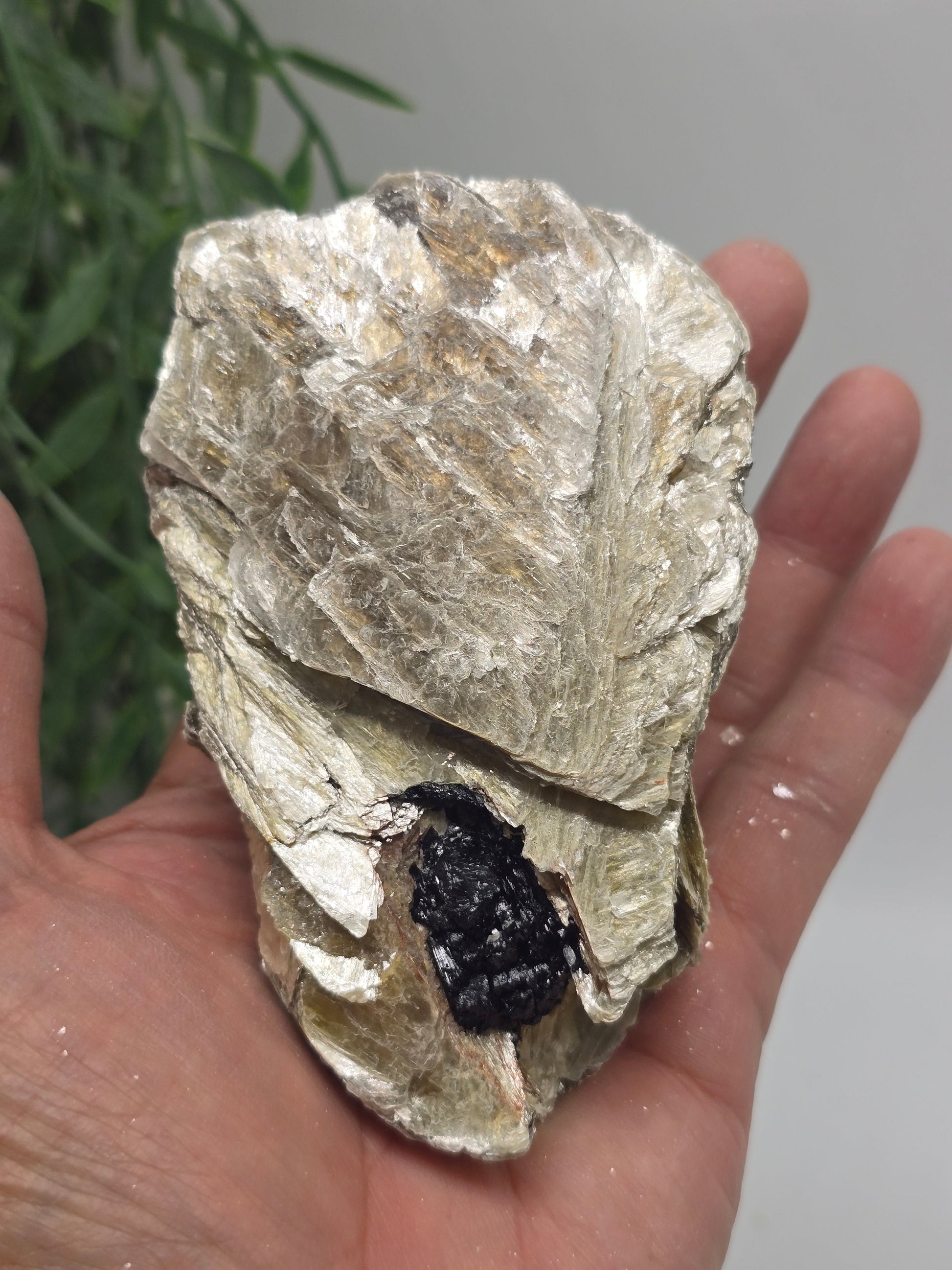 Rare Mica with Black Tourmaline – 11x7x6cm | 0.4kg Crystal Wellness