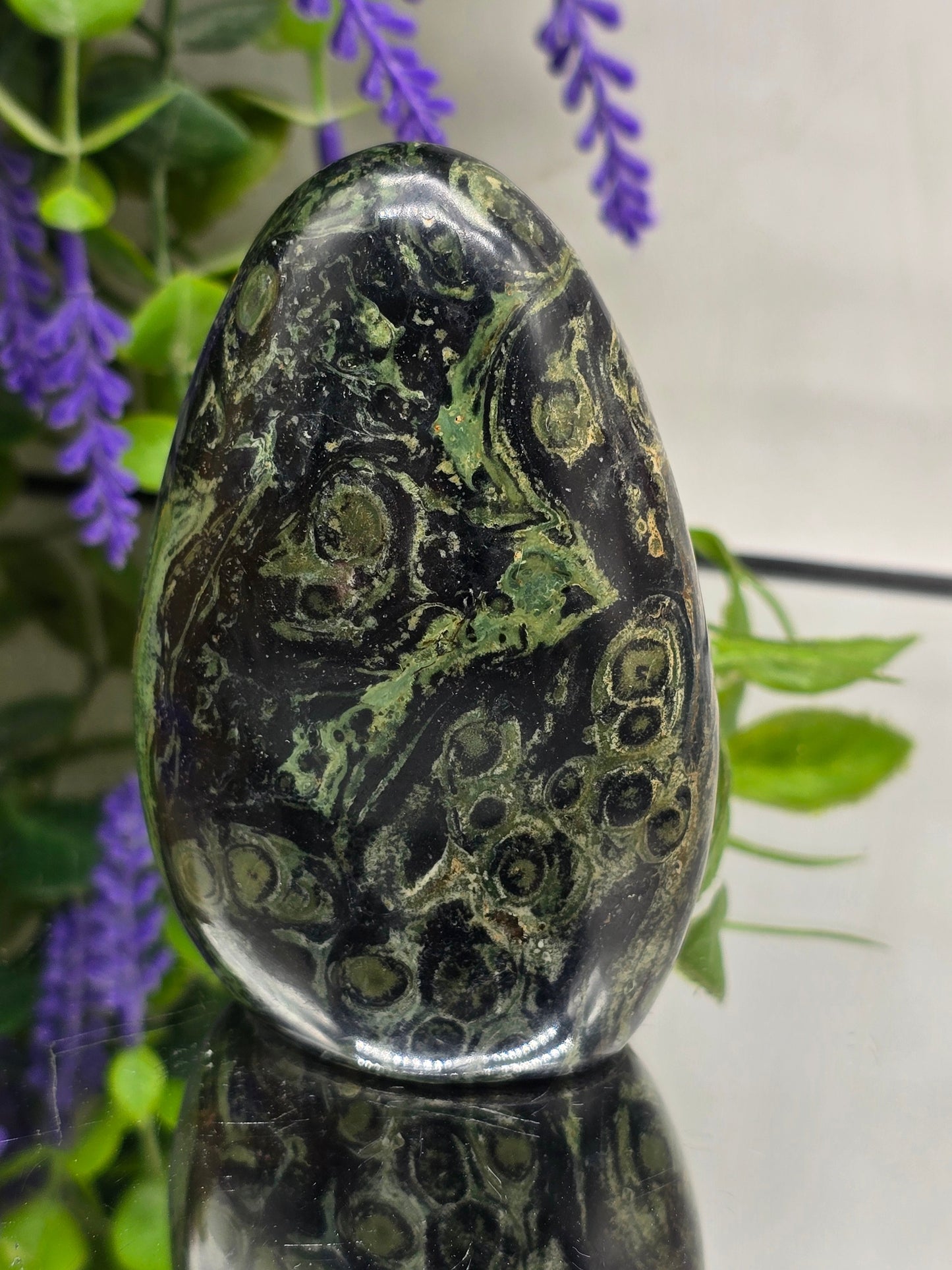Premium Kambaba Jasper Freeform – Stone of Peace, Tranquility & Ancient Wisdom Crystal Wellness