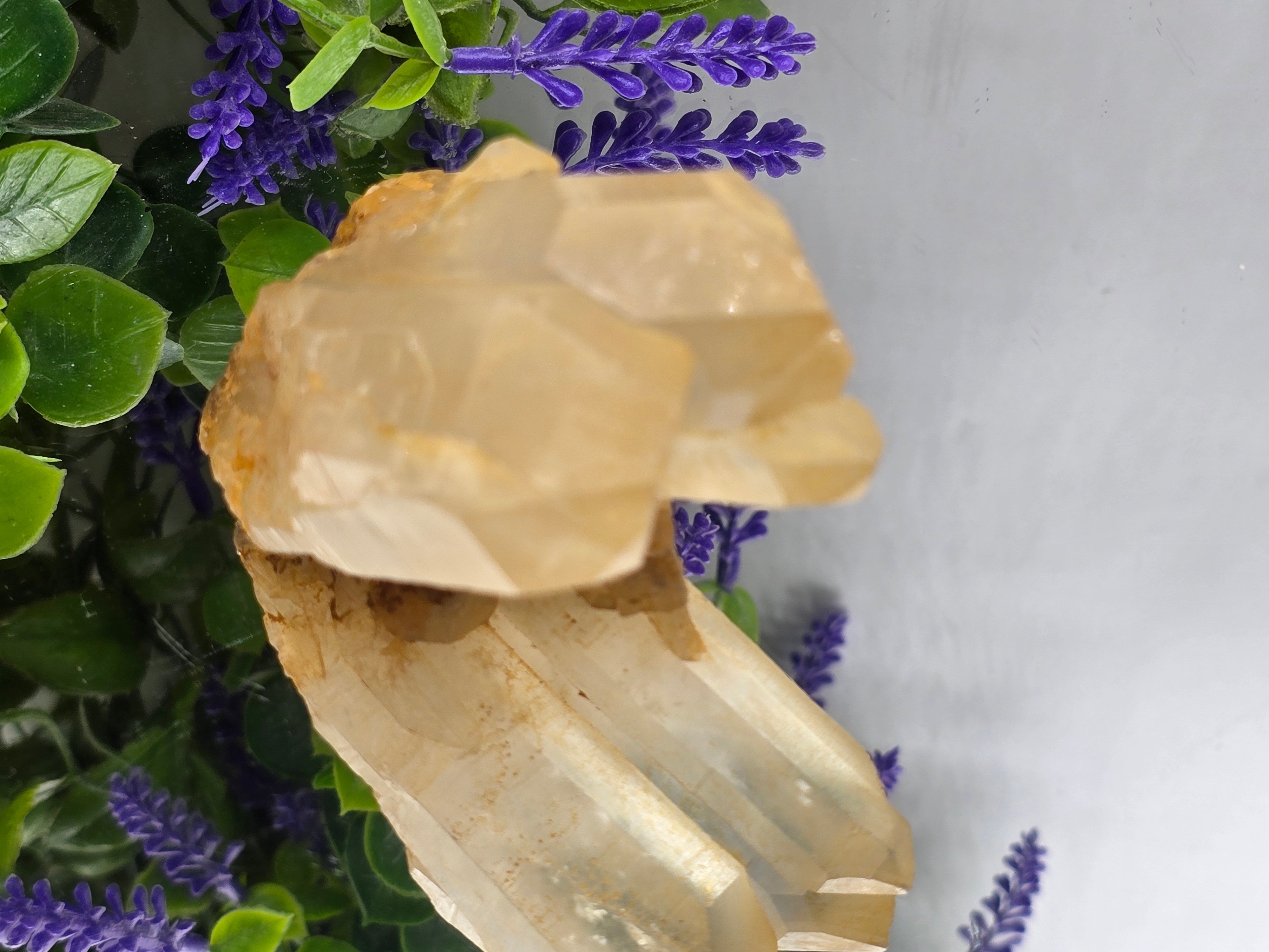 Madagascar Genuine Natural Citrine Cluster – 115g (Stone of Abundance, Confidence & Manifestation) Crystal Wellness