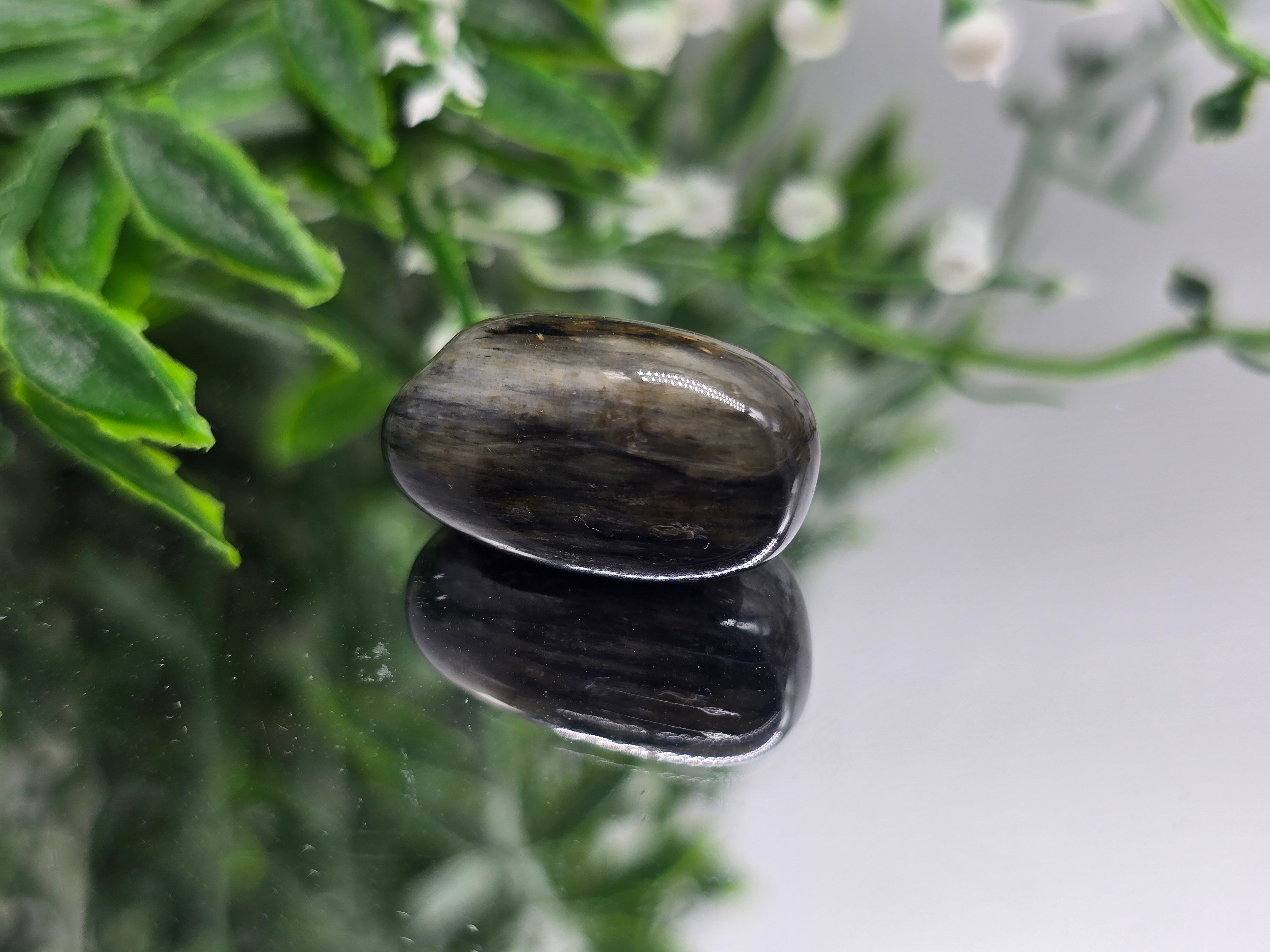 Isua Stone Polished Tumble (Stone of Ancient Earth Wisdom) Crystal Wellness
