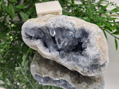 Celestial Harmony Celestite Geode – Natural Sky Blue Crystal Cave 1kg 14x7x7cm Crystal Wellness